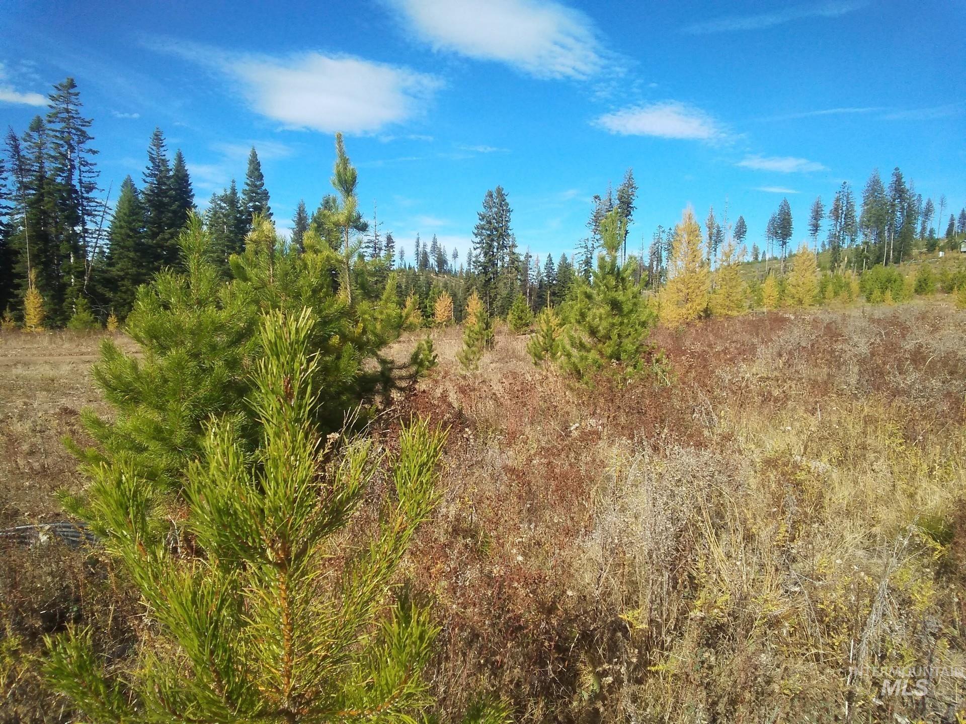 TBD French Gulch Rd Parcel 2 & 3, Elk City, Idaho 83525, Residential For Sale, Price $459,000,MLS 98939908