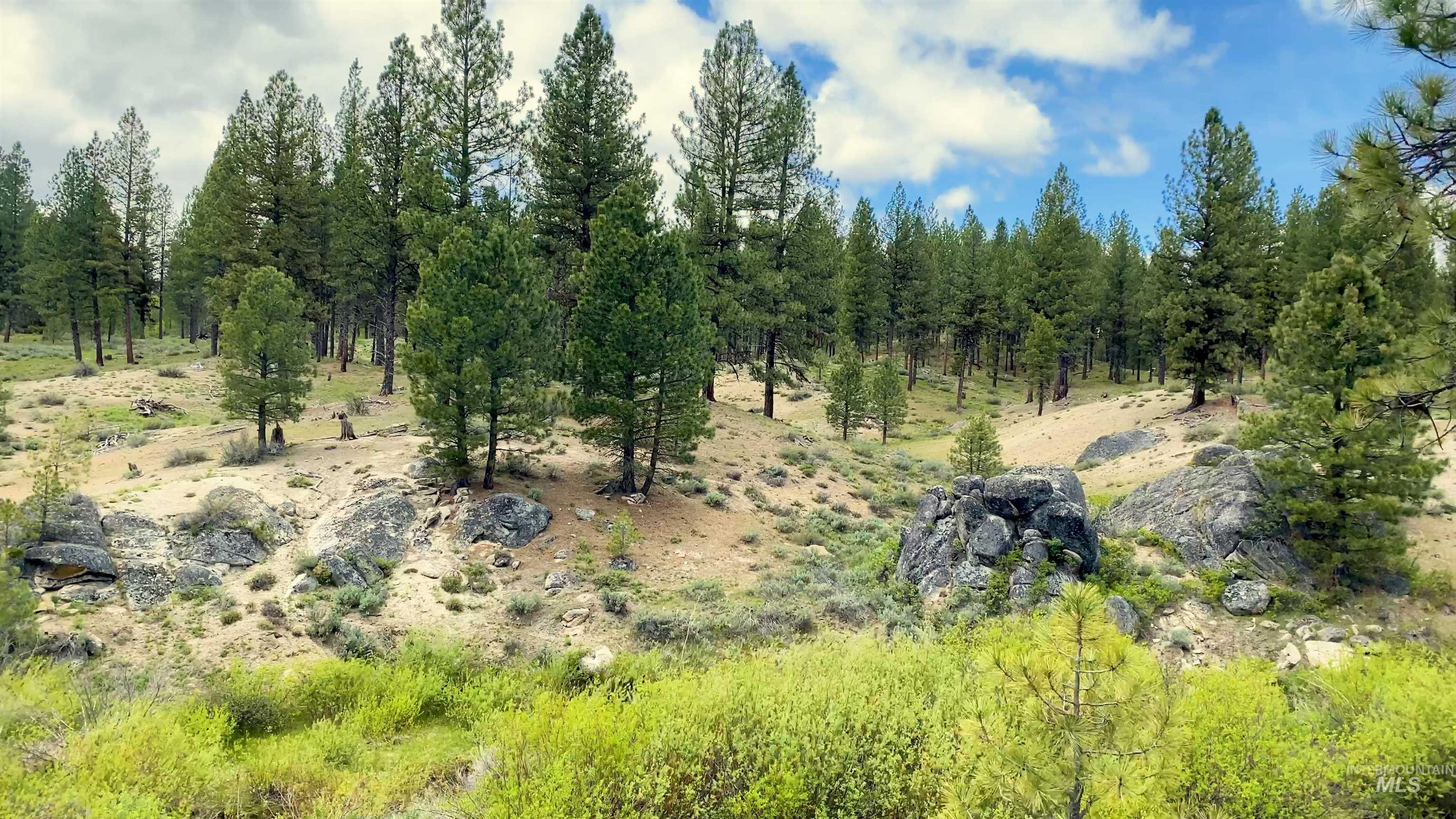 TBD1 Harris Creek Rd, Idaho City, Idaho 83631, Farm & Ranch For Sale, Price $4,980,000,MLS 98939962