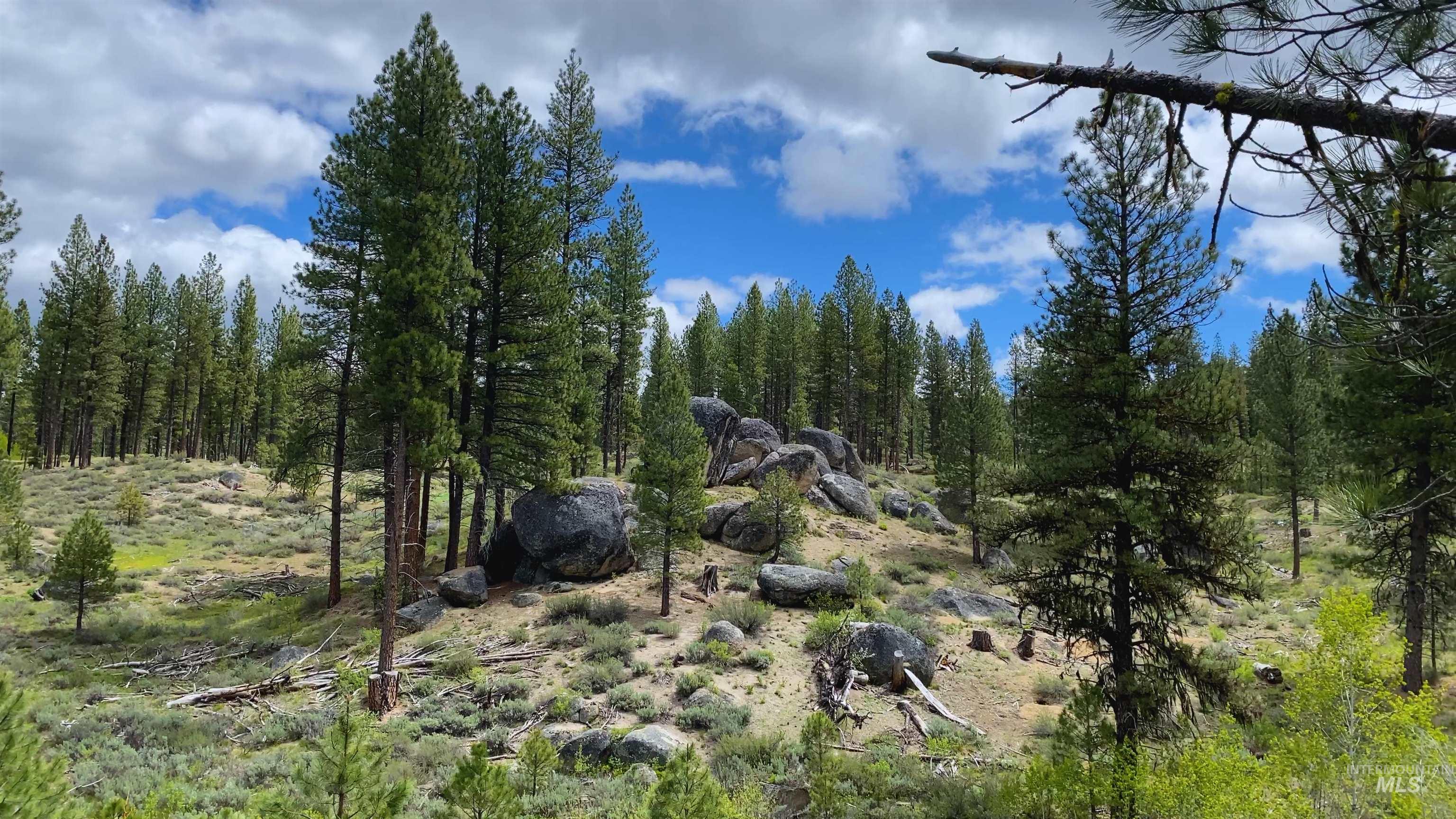 TBD1 Harris Creek Rd, Idaho City, Idaho 83631, Farm & Ranch For Sale, Price $4,980,000,MLS 98939962