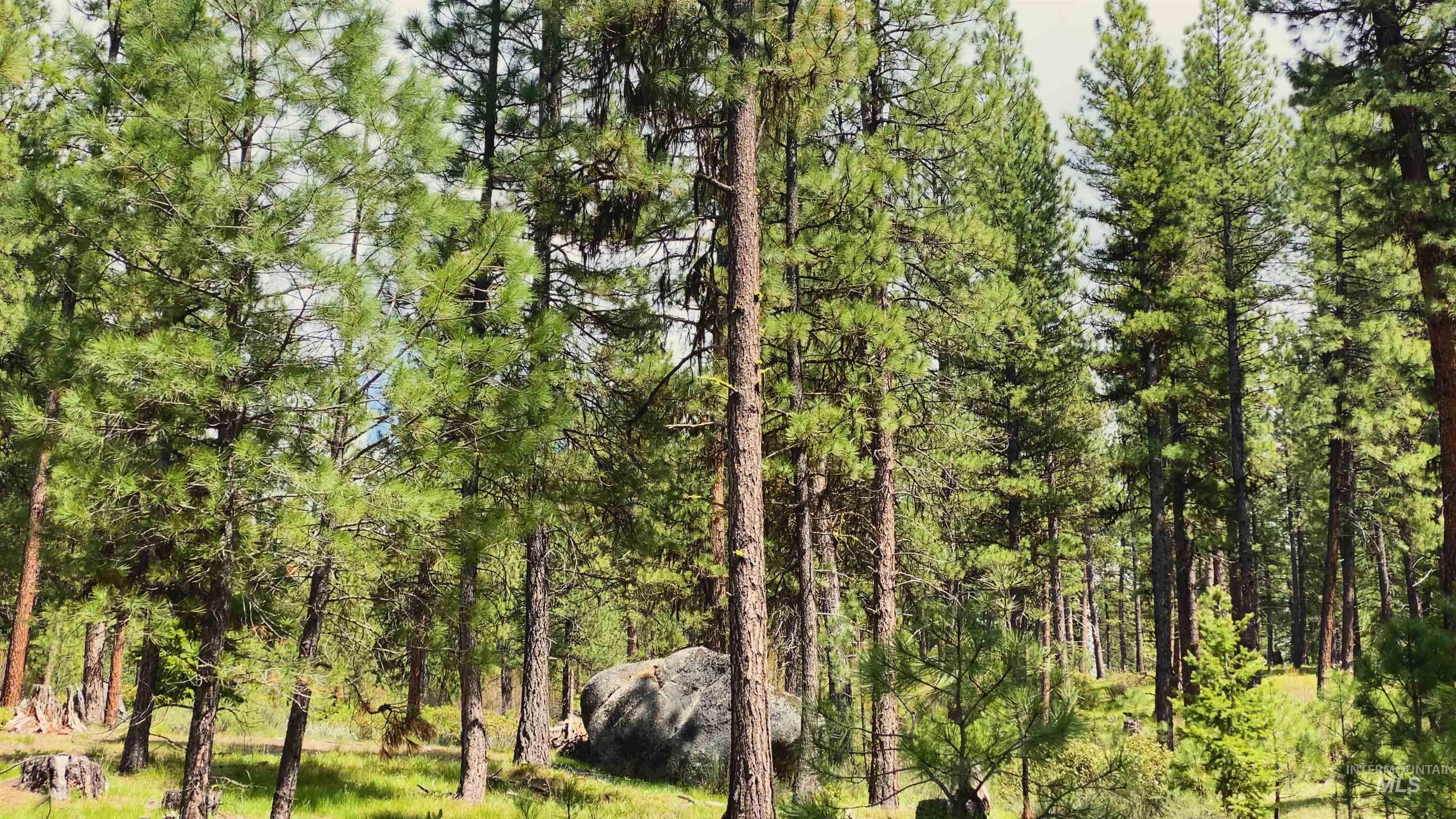 TBD1 Harris Creek Rd, Idaho City, Idaho 83631, Farm & Ranch For Sale, Price $4,980,000,MLS 98939962