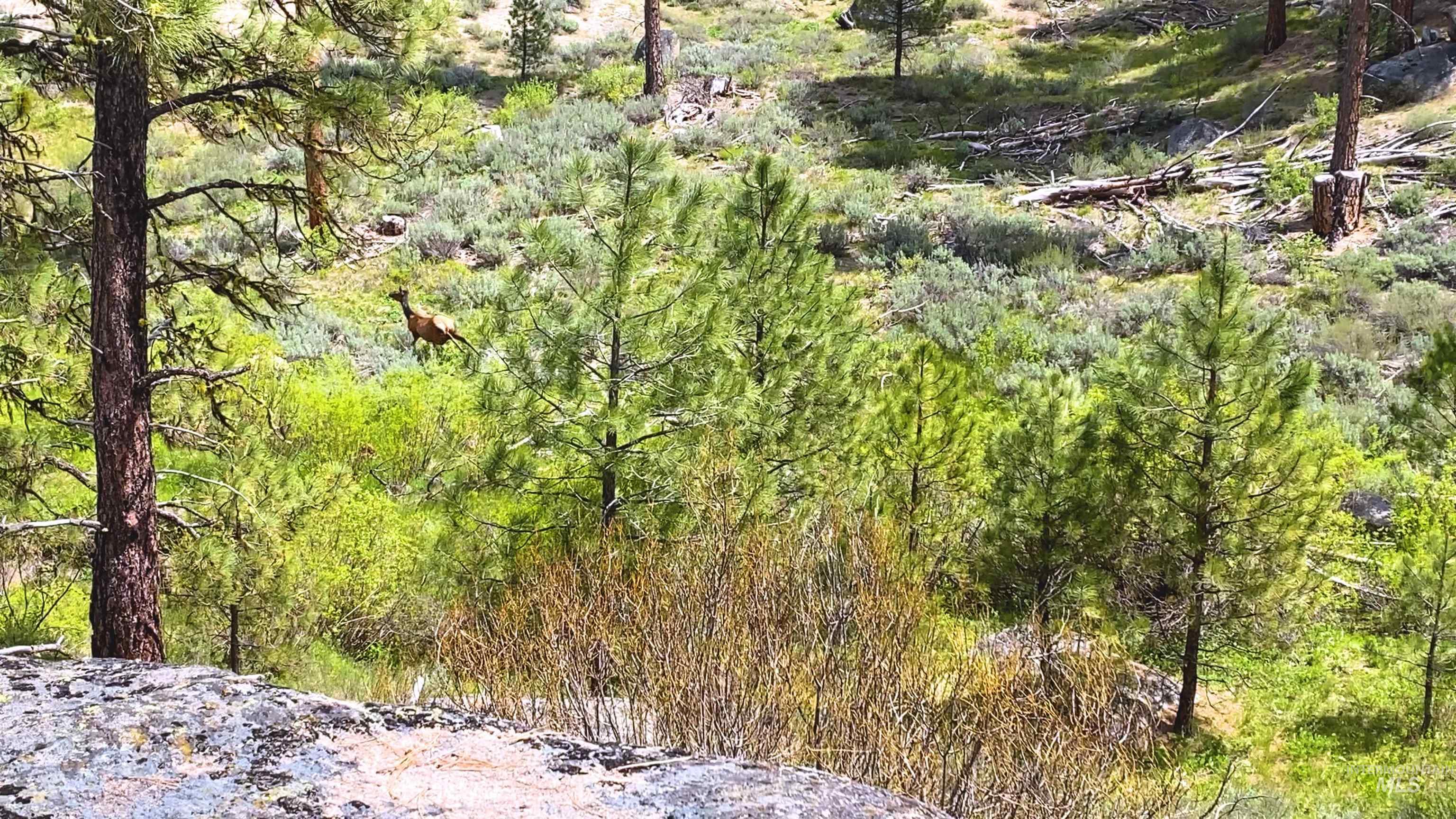 TBD1 Harris Creek Rd, Idaho City, Idaho 83631, Farm & Ranch For Sale, Price $4,980,000,MLS 98939962