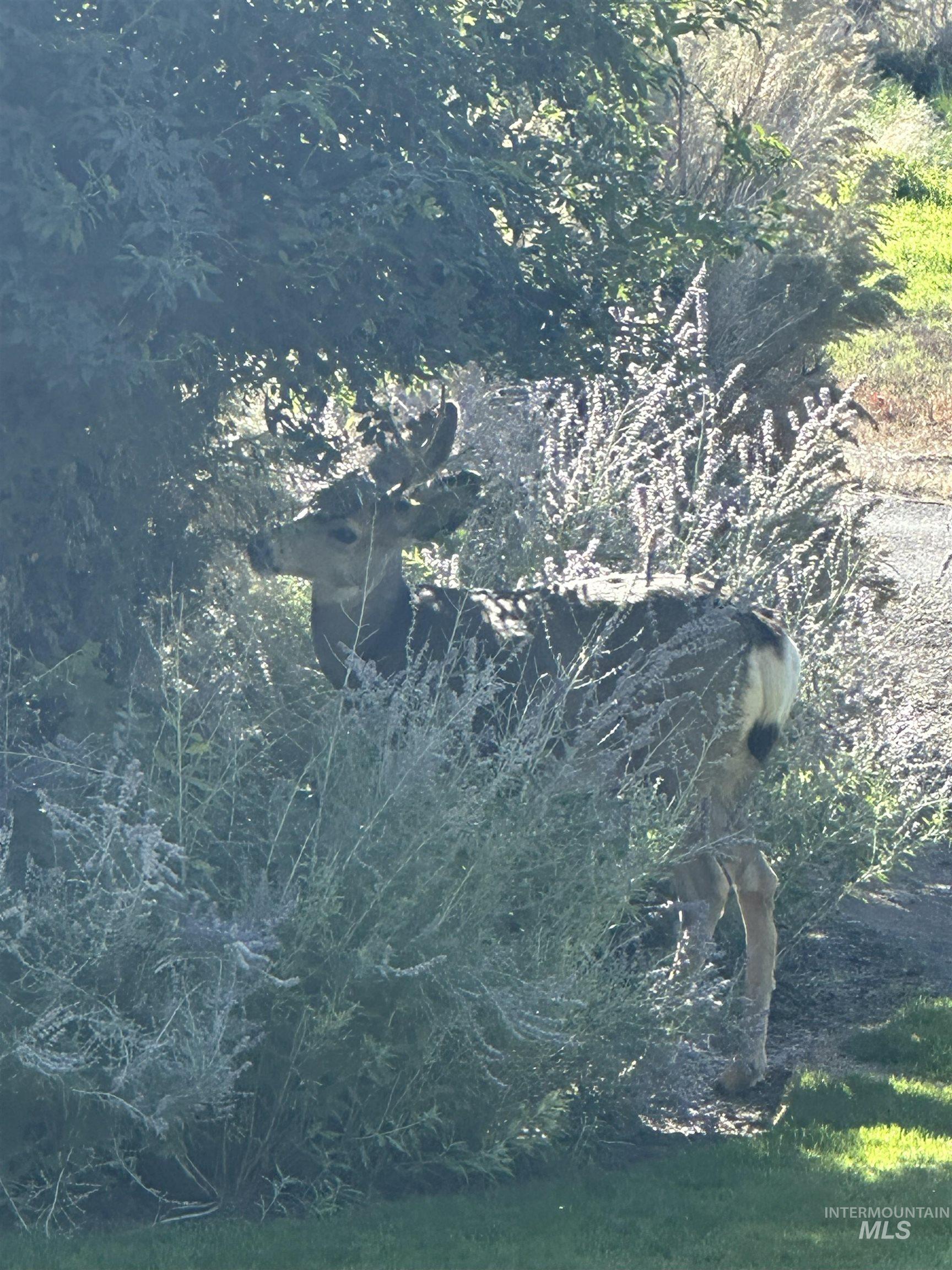 4124 N Meadow Ridge Circle, Twin Falls, Idaho 83301, 4 Bedrooms, 3.5 Bathrooms, Residential For Sale, Price $639,900,MLS 98940689