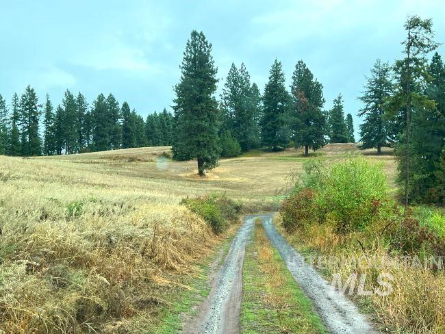 NKA 618acs Freeman Creek Rd, Lenore, Idaho 83541, Land For Sale, Price $4,950,000, 98940759