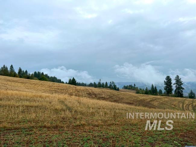 NKA 618acs Freeman Creek Rd, Lenore, Idaho 83541, Land For Sale, Price $4,950,000, 98940759