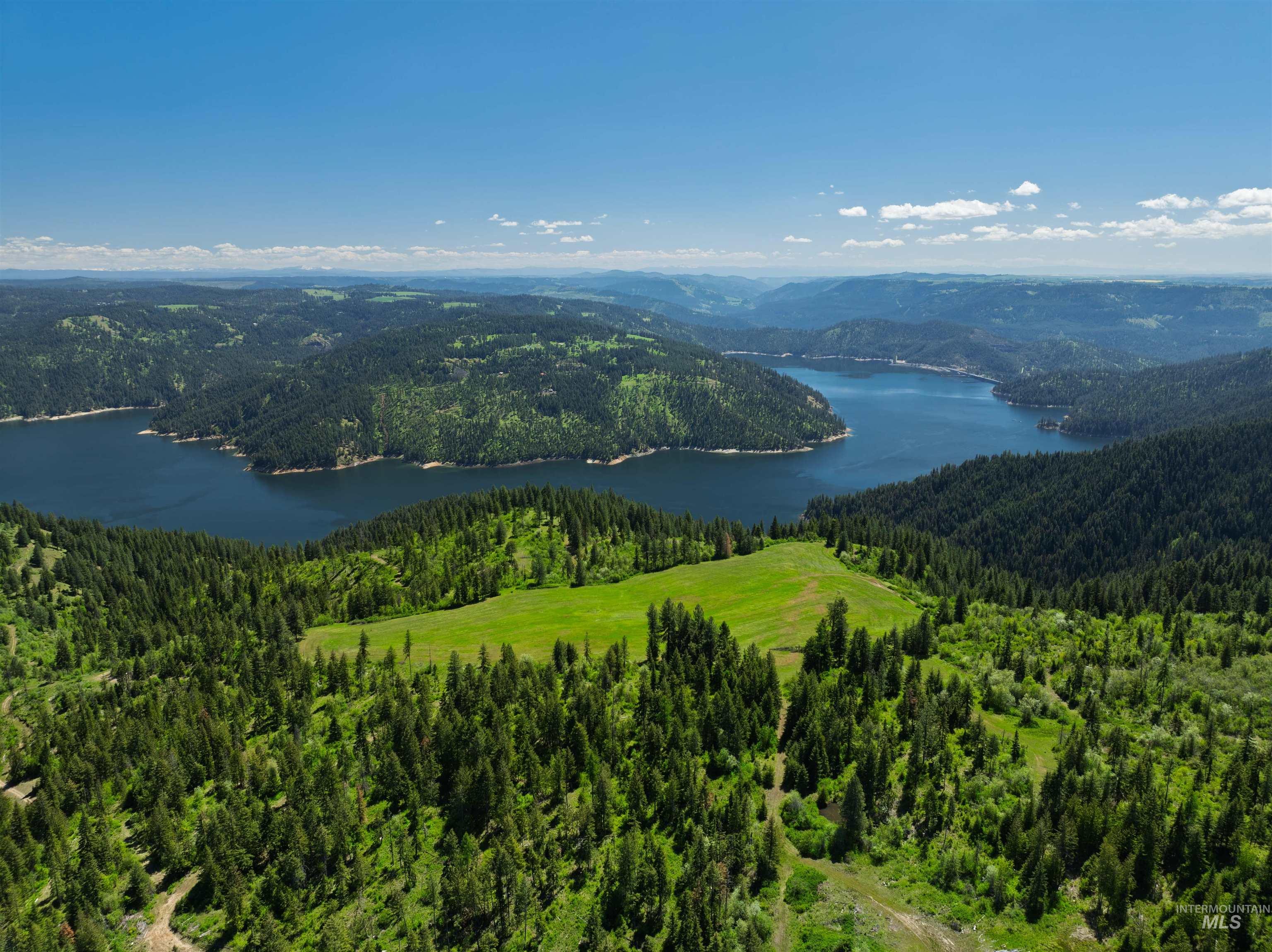 NKA 618acs Freeman Creek Rd, Lenore, Idaho 83541, Land For Sale, Price $4,950,000,MLS 98940759
