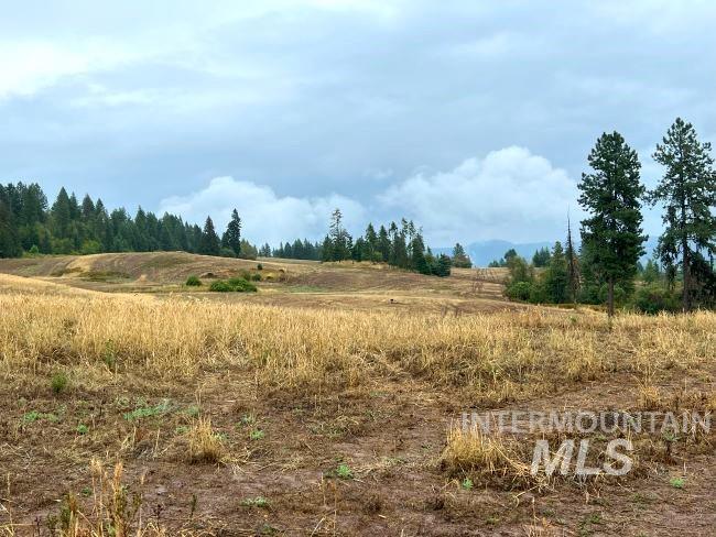 NKA 618acs Freeman Creek Rd, Lenore, Idaho 83541, Land For Sale, Price $4,950,000, 98940759