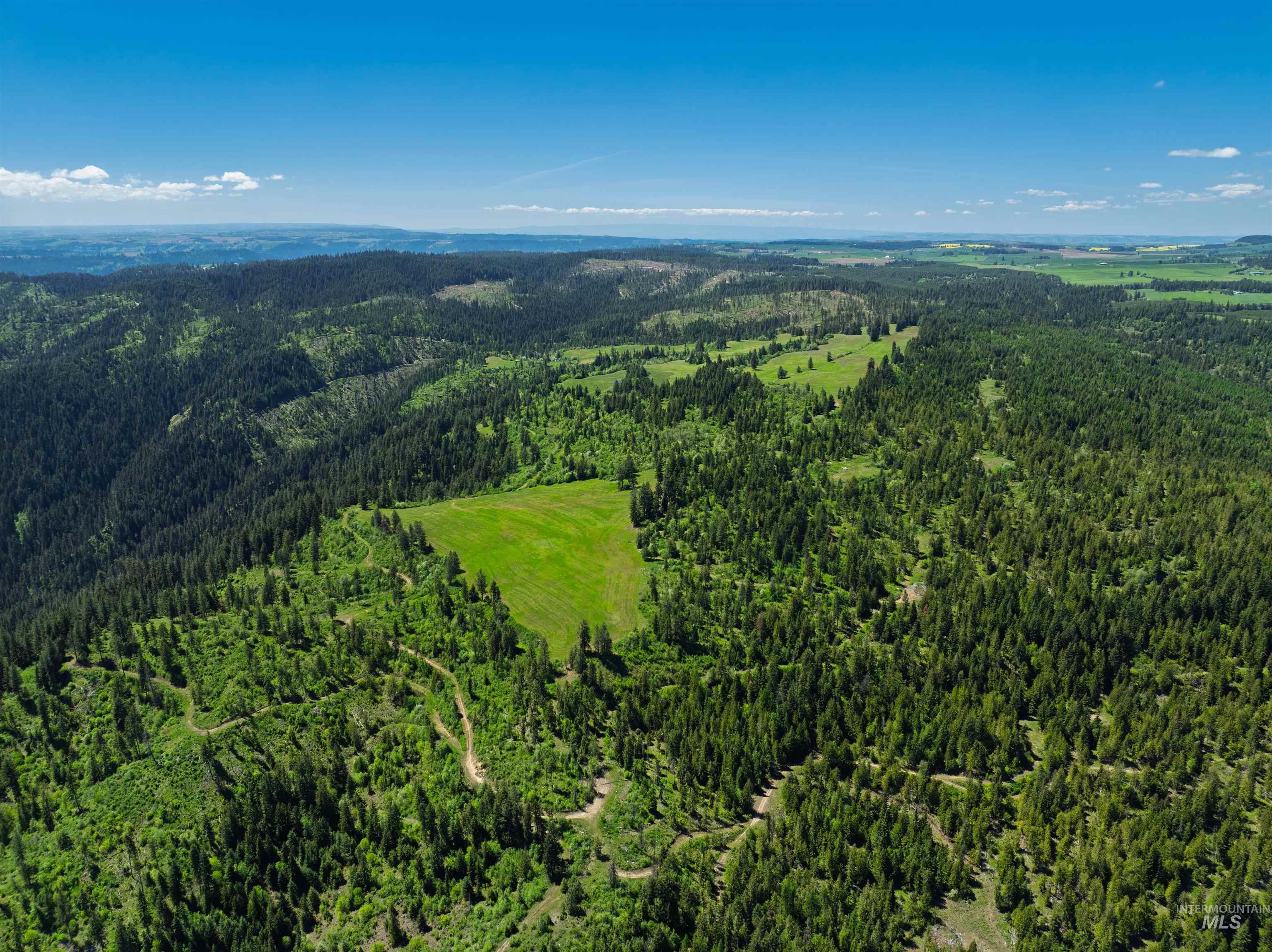 NKA 618acs Freeman Creek Rd, Lenore, Idaho 83541, Land For Sale, Price $4,950,000,MLS 98940759