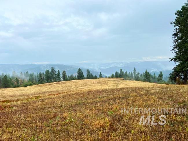 NKA 618acs Freeman Creek Rd, Lenore, Idaho 83541, Land For Sale, Price $4,950,000, 98940759