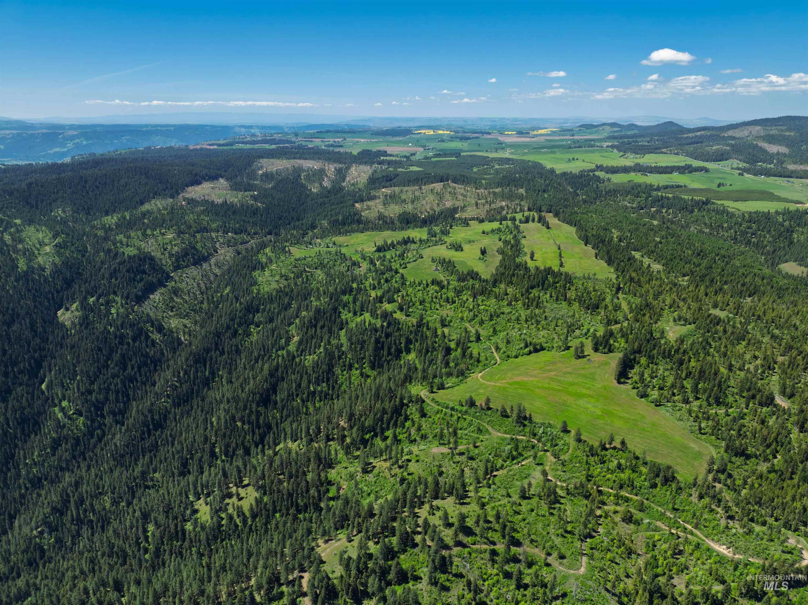 NKA 618acs Freeman Creek Rd, Lenore, Idaho 83541, Land For Sale, Price $4,950,000,MLS 98940759
