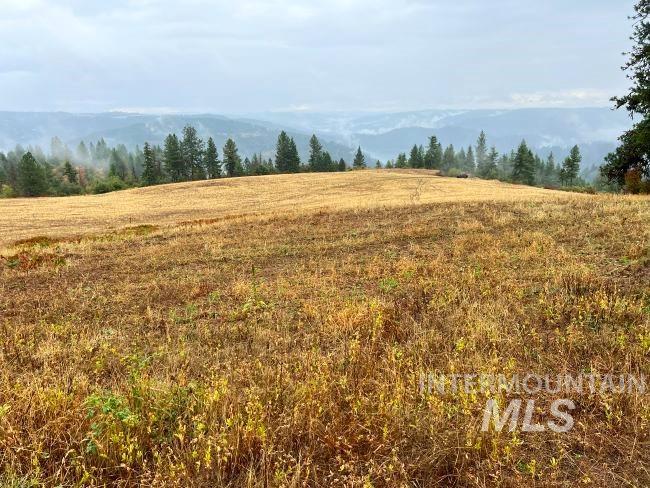 NKA 618acs Freeman Creek Rd, Lenore, Idaho 83541, Land For Sale, Price $4,950,000, 98940759