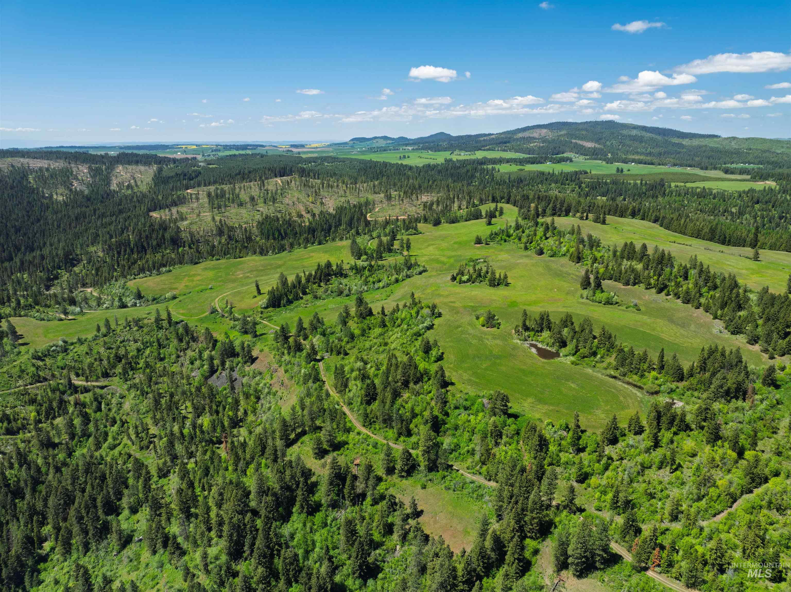 NKA 618acs Freeman Creek Rd, Lenore, Idaho 83541, Land For Sale, Price $4,950,000,MLS 98940759