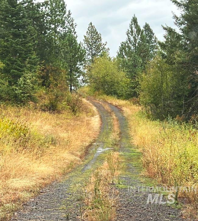 NKA 618acs Freeman Creek Rd, Lenore, Idaho 83541, Land For Sale, Price $4,950,000, 98940759