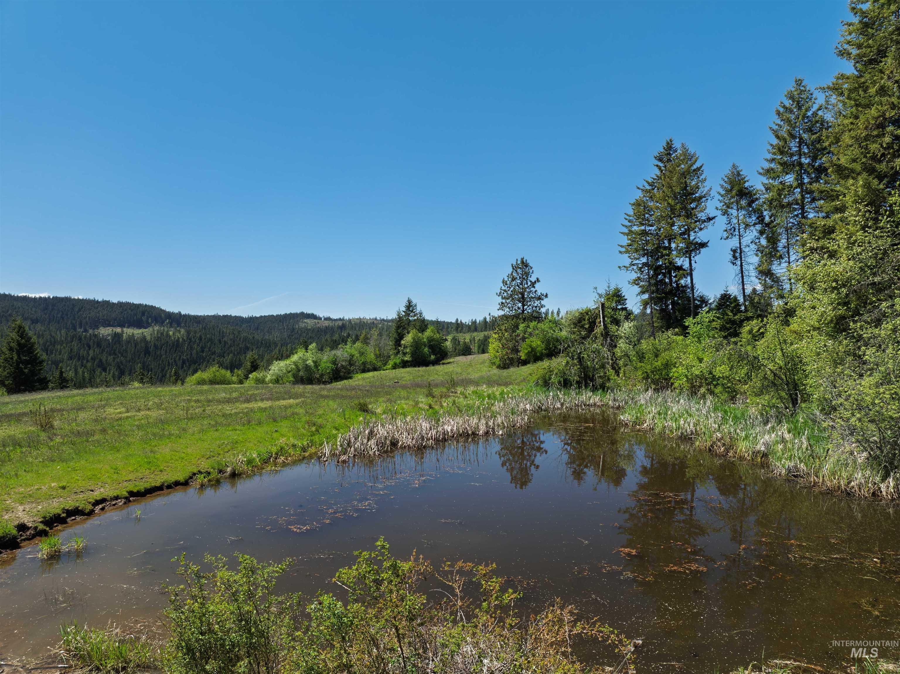 NKA 618acs Freeman Creek Rd, Lenore, Idaho 83541, Land For Sale, Price $4,950,000,MLS 98940759