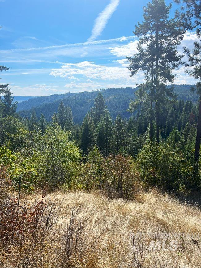 NKA 618acs Freeman Creek Rd, Lenore, Idaho 83541, Land For Sale, Price $4,950,000, 98940759