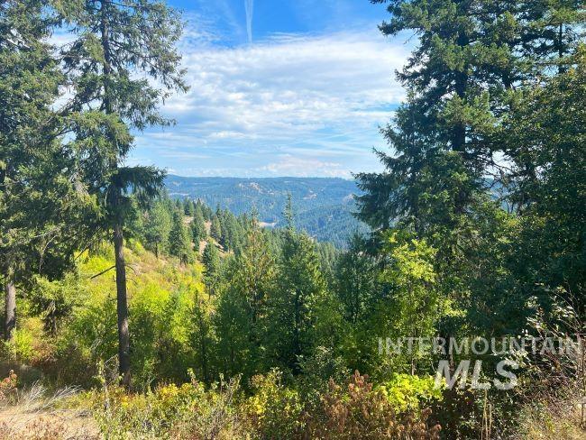NKA 618acs Freeman Creek Rd, Lenore, Idaho 83541, Land For Sale, Price $4,950,000, 98940759