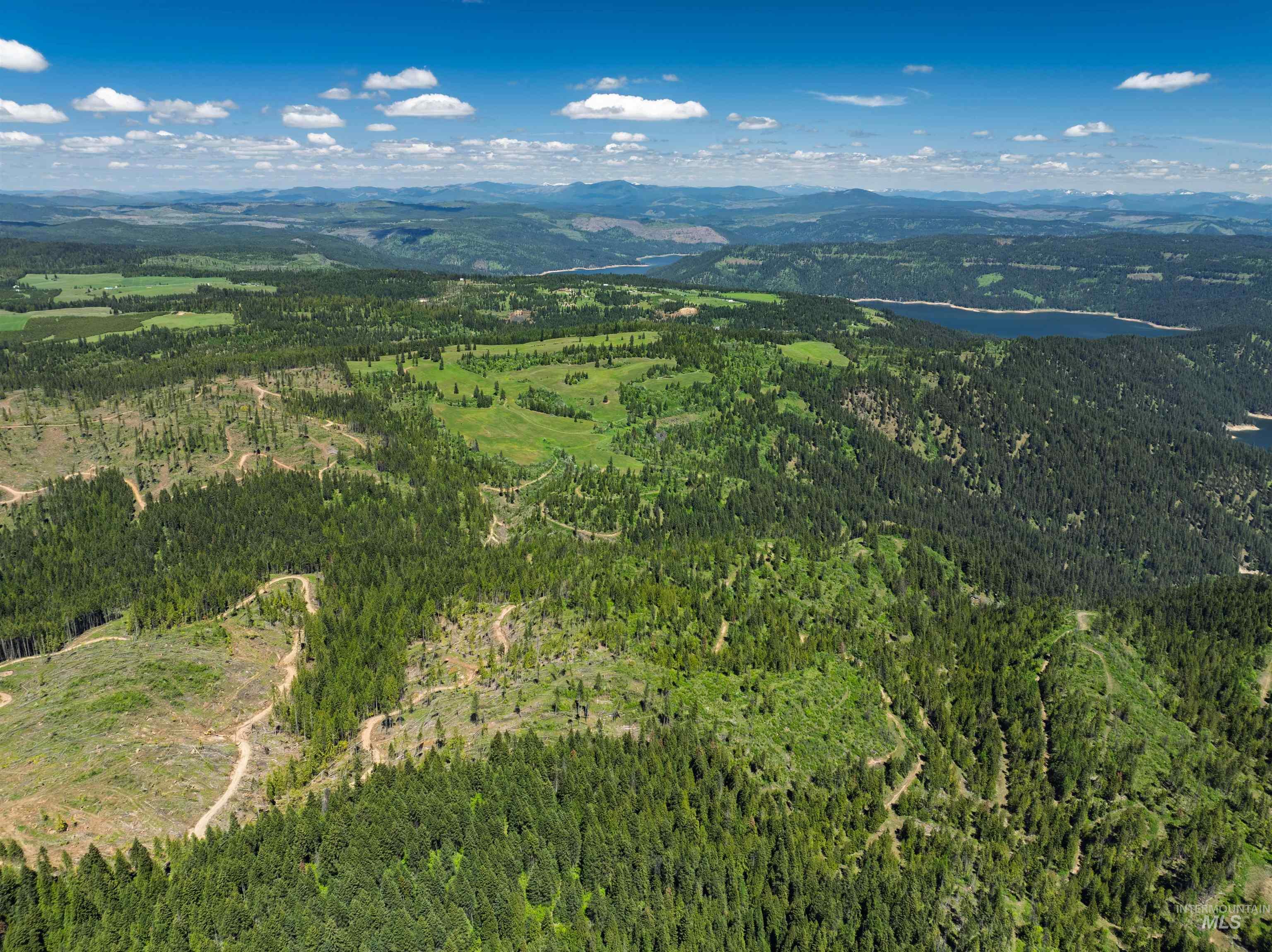 NKA 618acs Freeman Creek Rd, Lenore, Idaho 83541, Land For Sale, Price $4,950,000,MLS 98940759