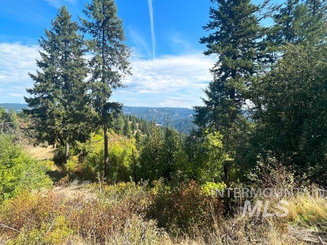 NKA 618acs Freeman Creek Rd, Lenore, Idaho 83541, Land For Sale, Price $4,950,000, 98940759
