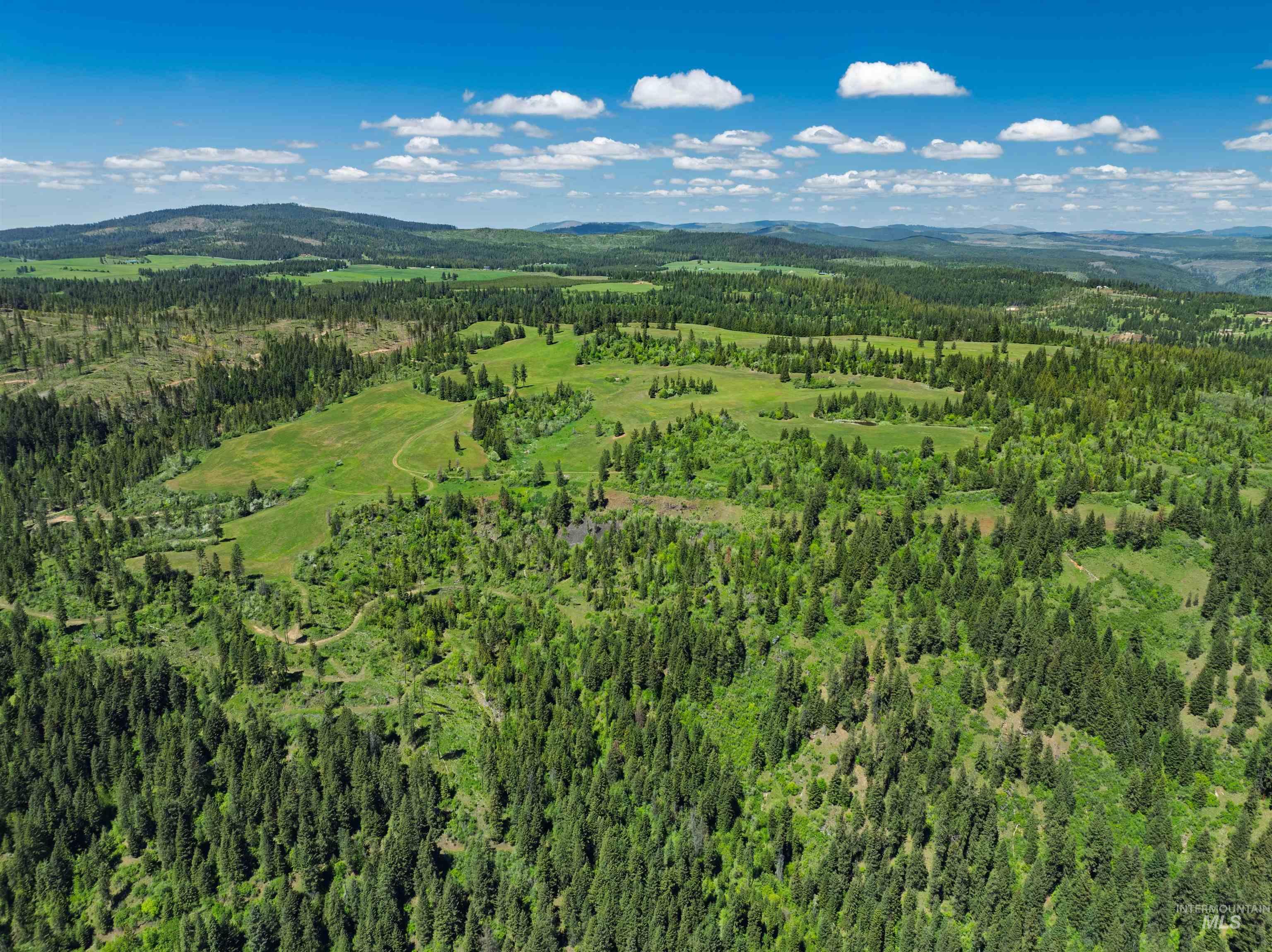 NKA 618acs Freeman Creek Rd, Lenore, Idaho 83541, Land For Sale, Price $4,950,000,MLS 98940759