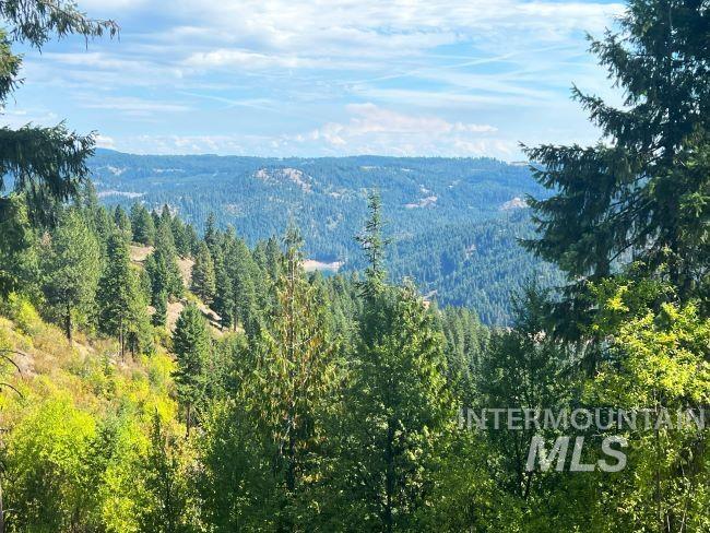 NKA 618acs Freeman Creek Rd, Lenore, Idaho 83541, Land For Sale, Price $4,950,000, 98940759