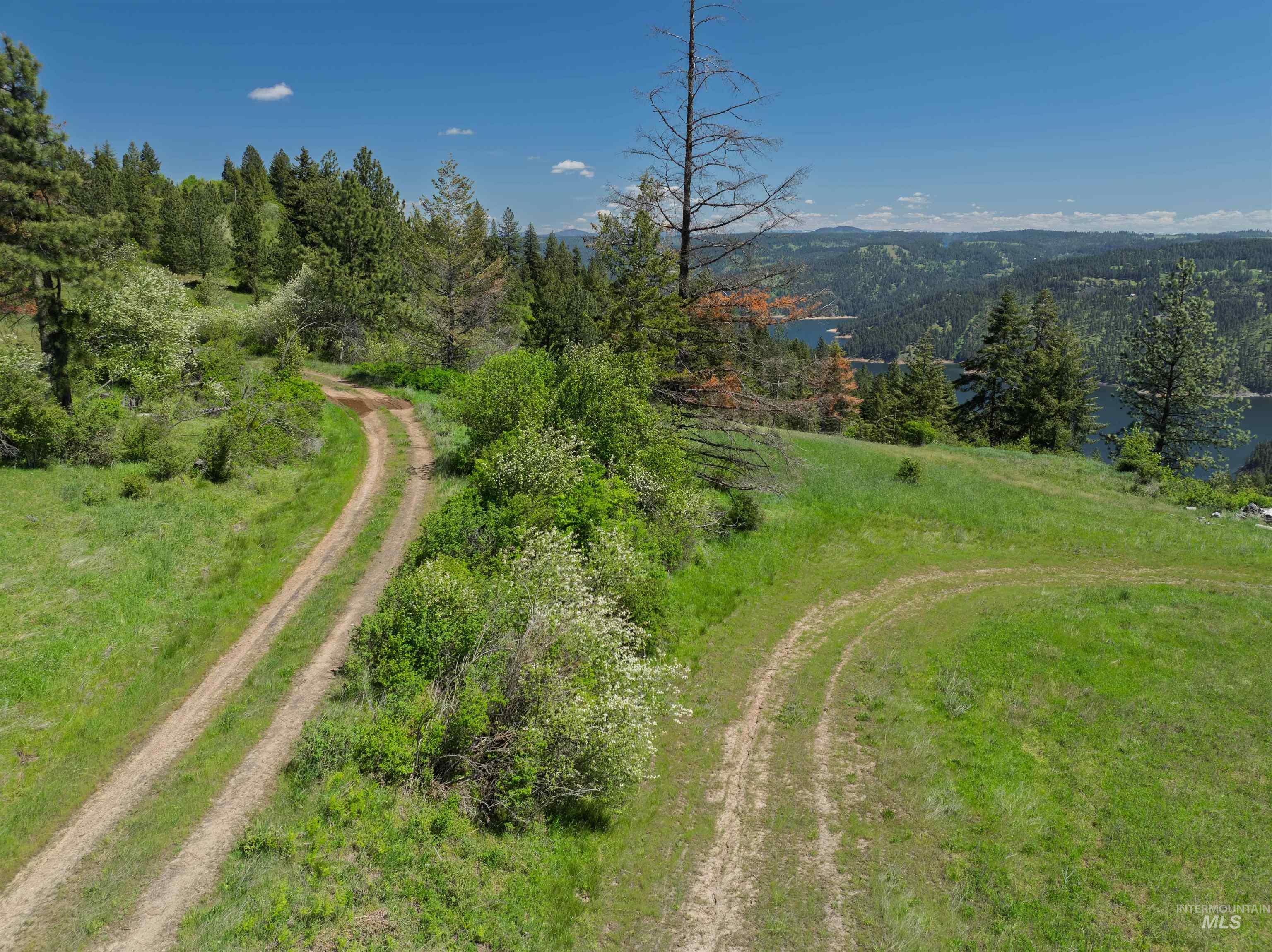 NKA 618acs Freeman Creek Rd, Lenore, Idaho 83541, Land For Sale, Price $4,950,000,MLS 98940759