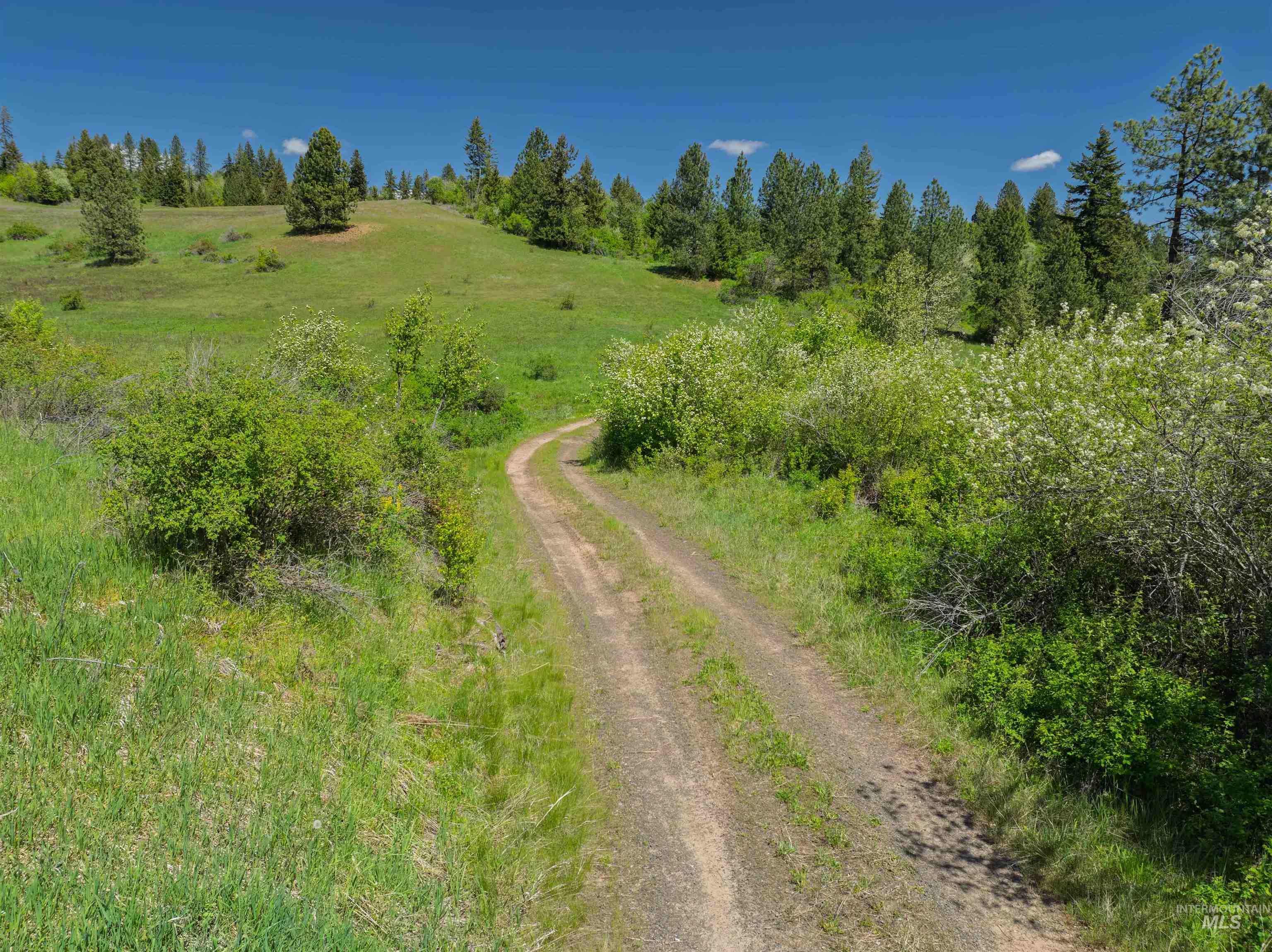 NKA 618acs Freeman Creek Rd, Lenore, Idaho 83541, Land For Sale, Price $4,950,000,MLS 98940759