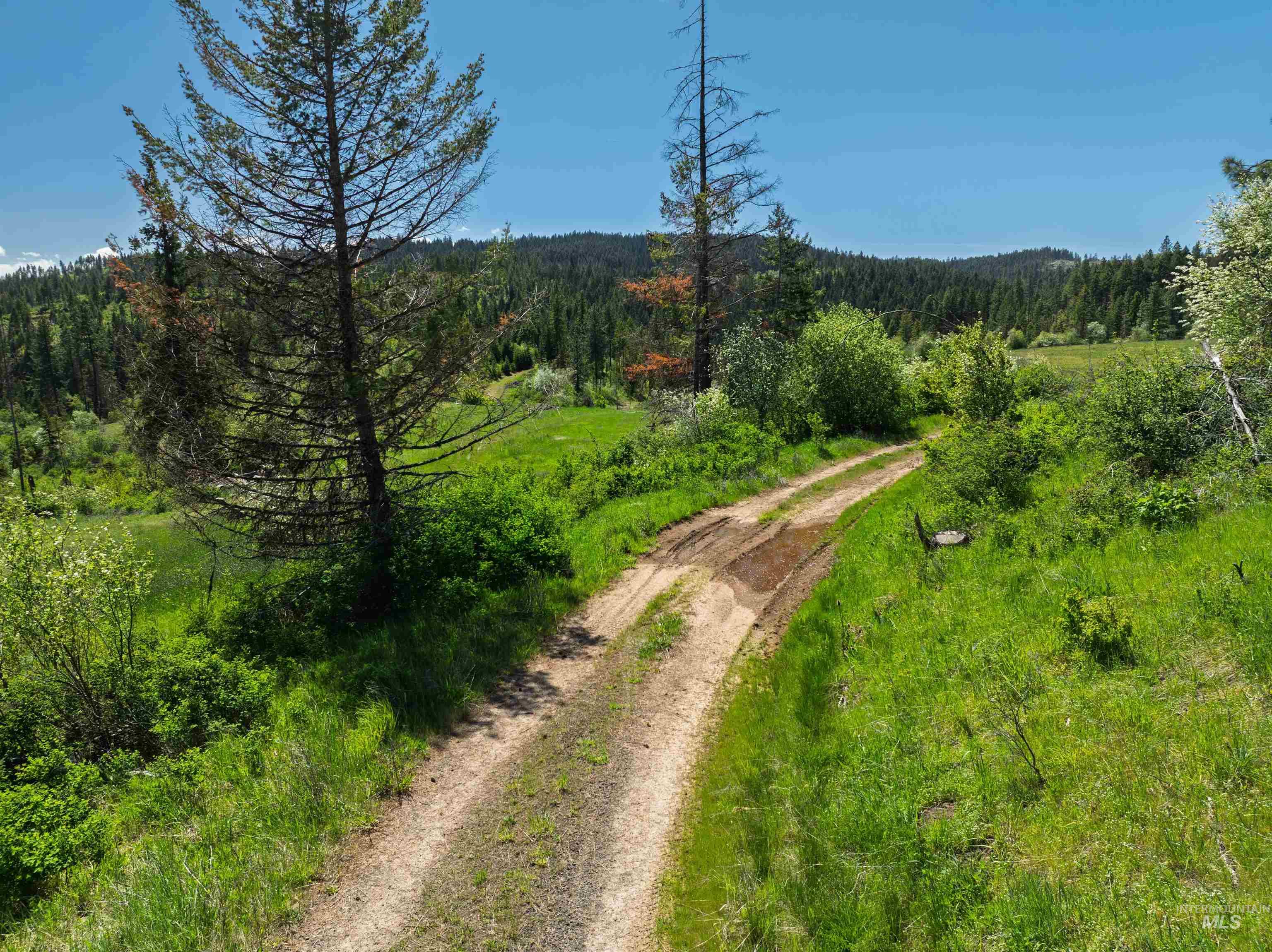 NKA 618acs Freeman Creek Rd, Lenore, Idaho 83541, Land For Sale, Price $4,950,000,MLS 98940759