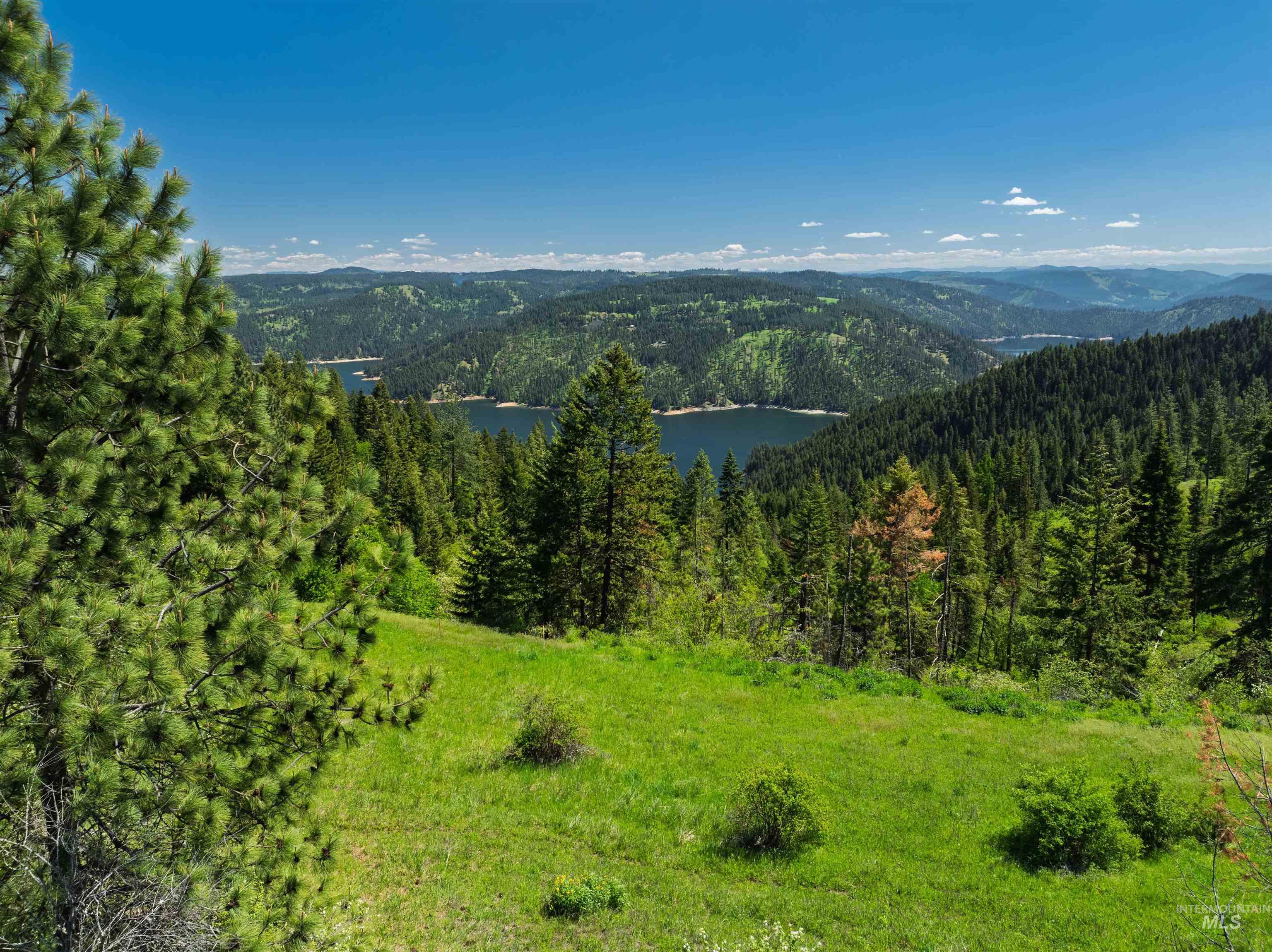 NKA 618acs Freeman Creek Rd, Lenore, Idaho 83541, Land For Sale, Price $4,950,000,MLS 98940759