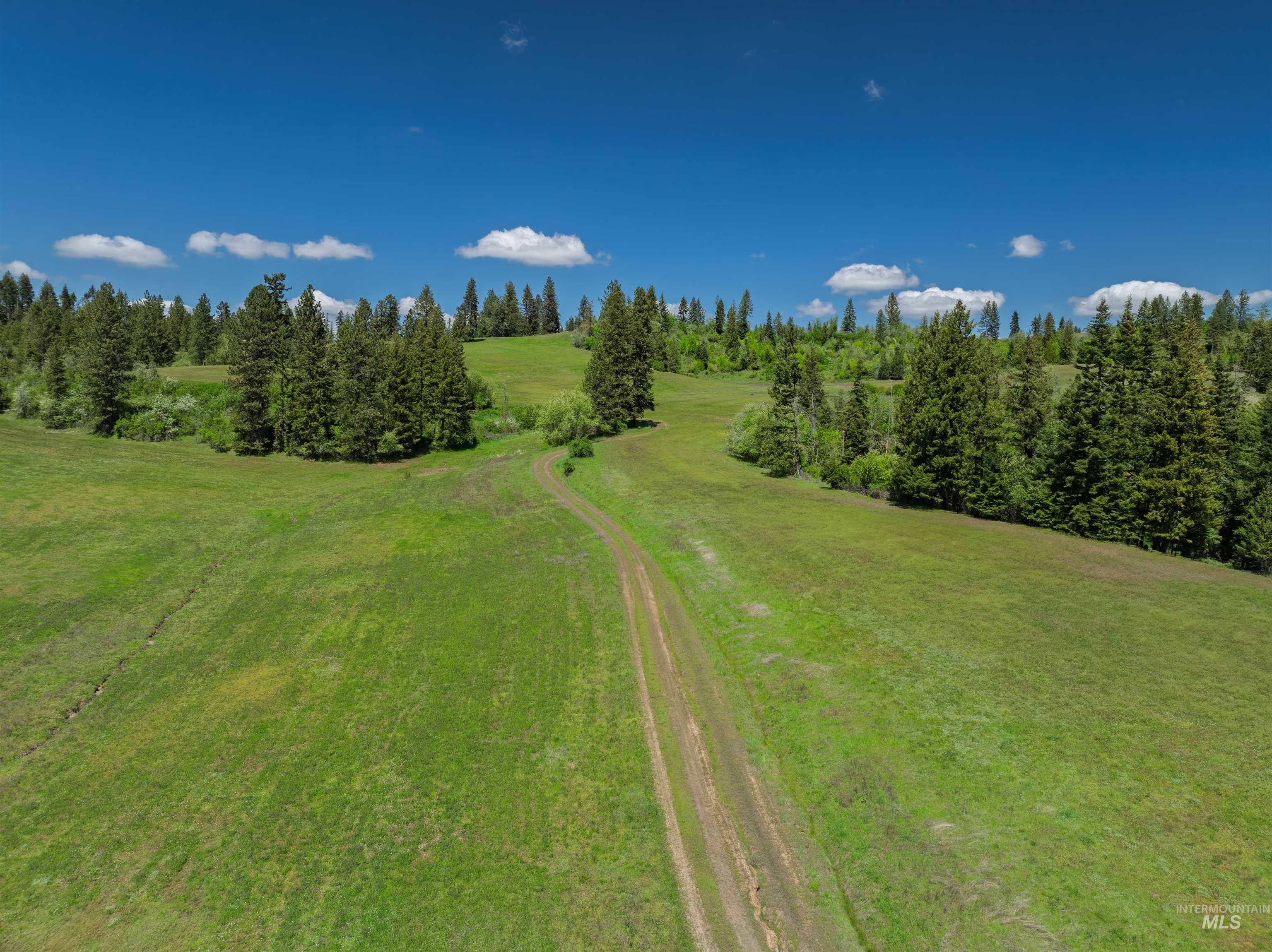 NKA 618acs Freeman Creek Rd, Lenore, Idaho 83541, Land For Sale, Price $4,950,000,MLS 98940759