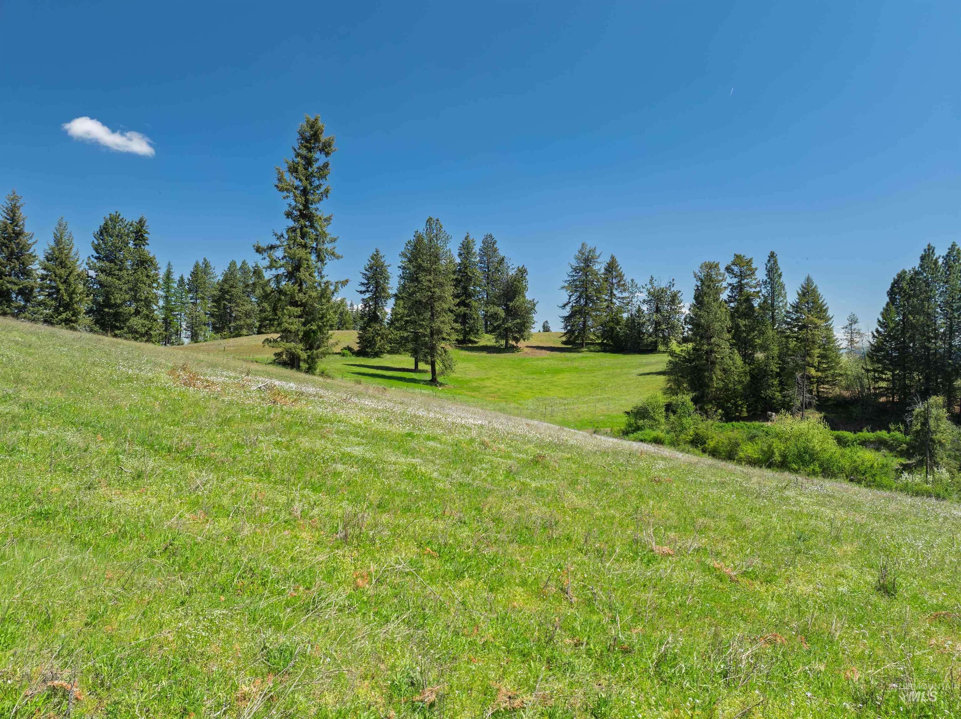 NKA 618acs Freeman Creek Rd, Lenore, Idaho 83541, Land For Sale, Price $4,950,000,MLS 98940759