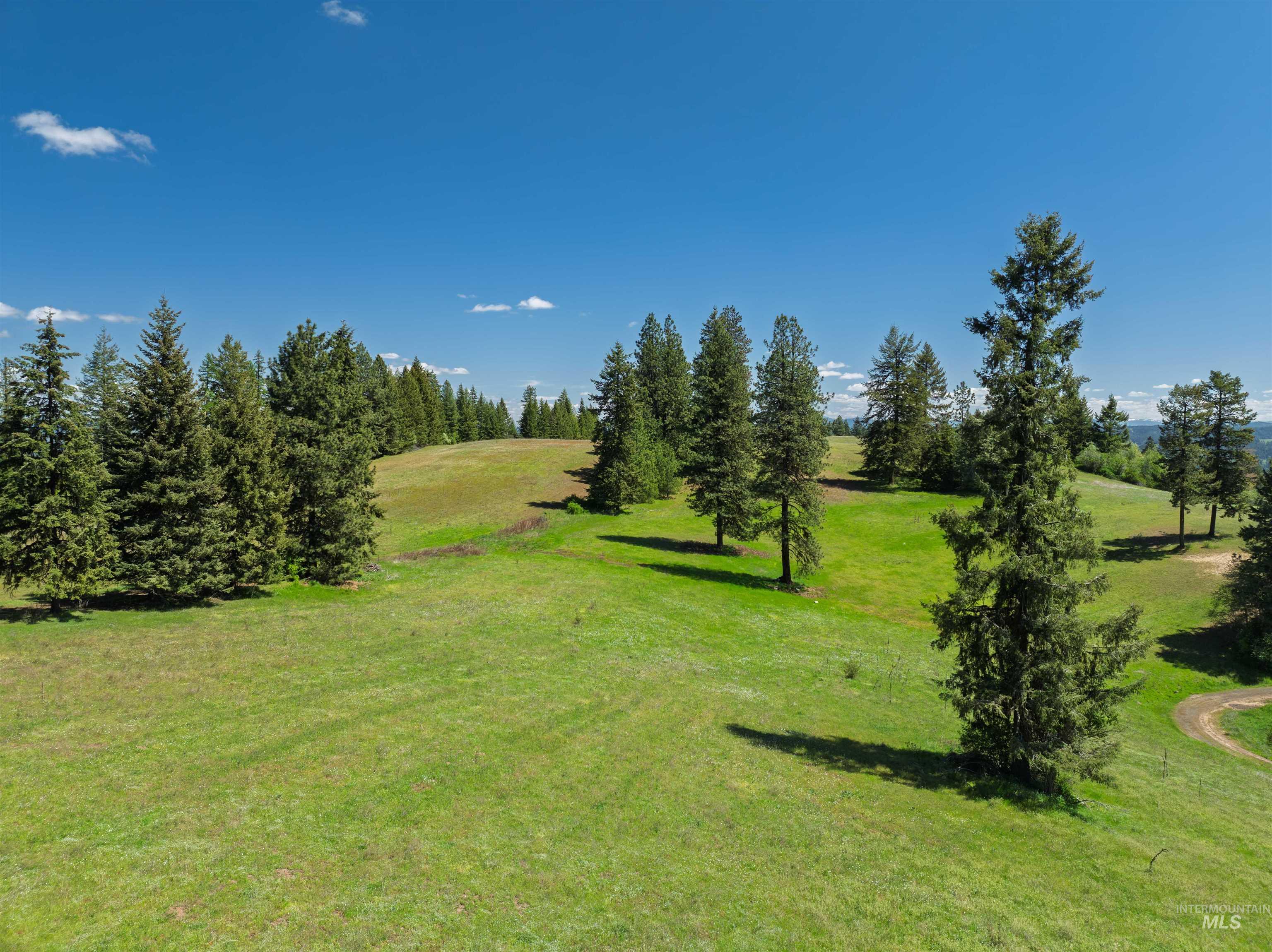 NKA 618acs Freeman Creek Rd, Lenore, Idaho 83541, Land For Sale, Price $4,950,000,MLS 98940759