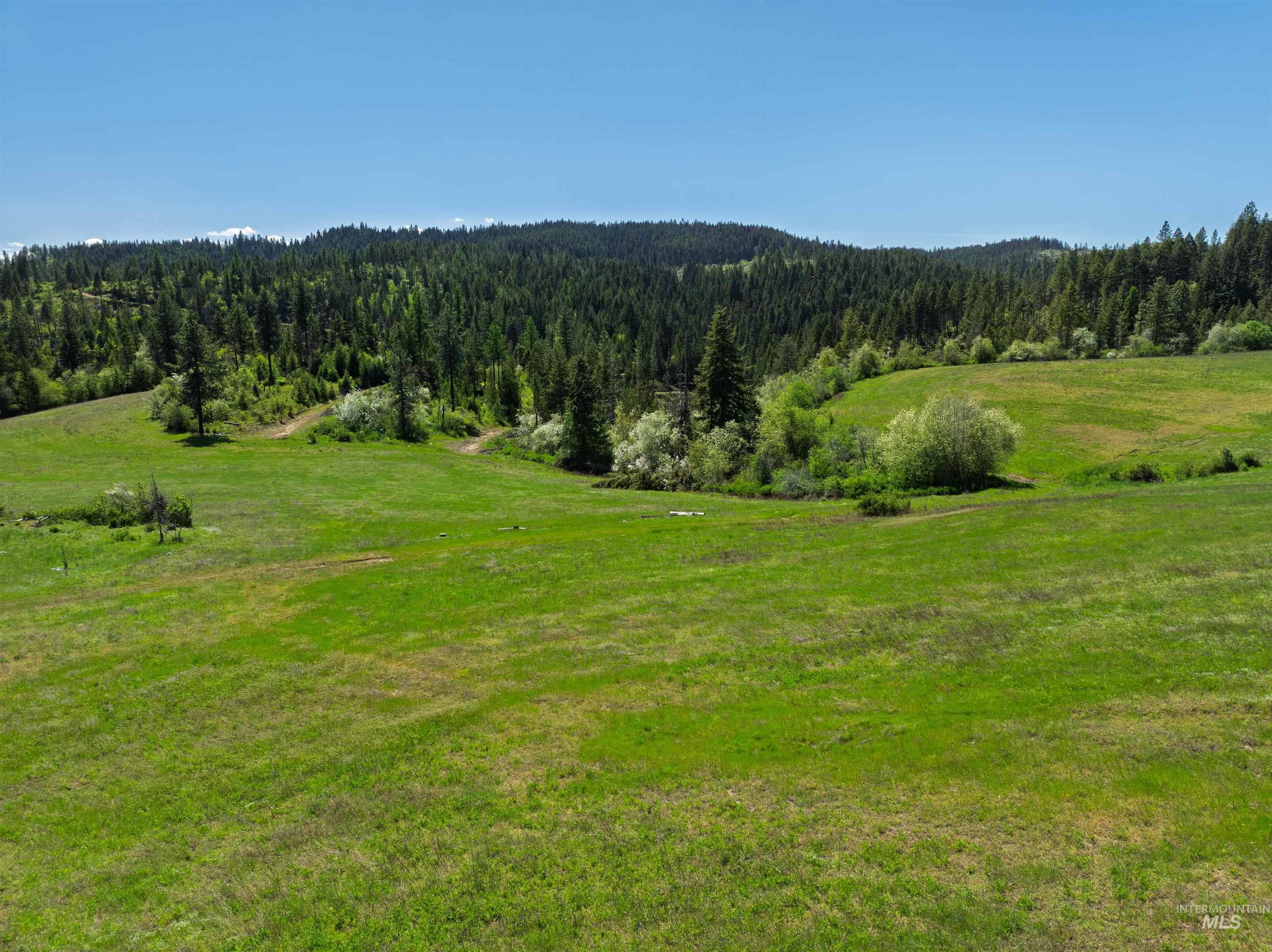 NKA 618acs Freeman Creek Rd, Lenore, Idaho 83541, Land For Sale, Price $4,950,000,MLS 98940759