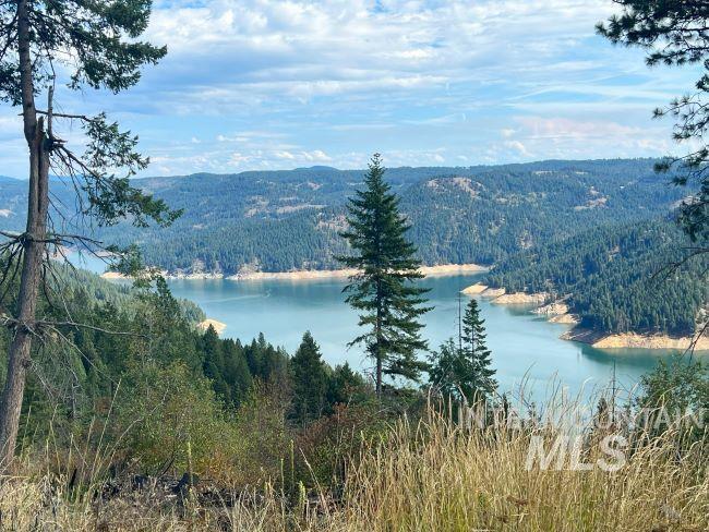 NKA 618acs Freeman Creek Rd, Lenore, Idaho 83541, Land For Sale, Price $4,950,000, 98940759