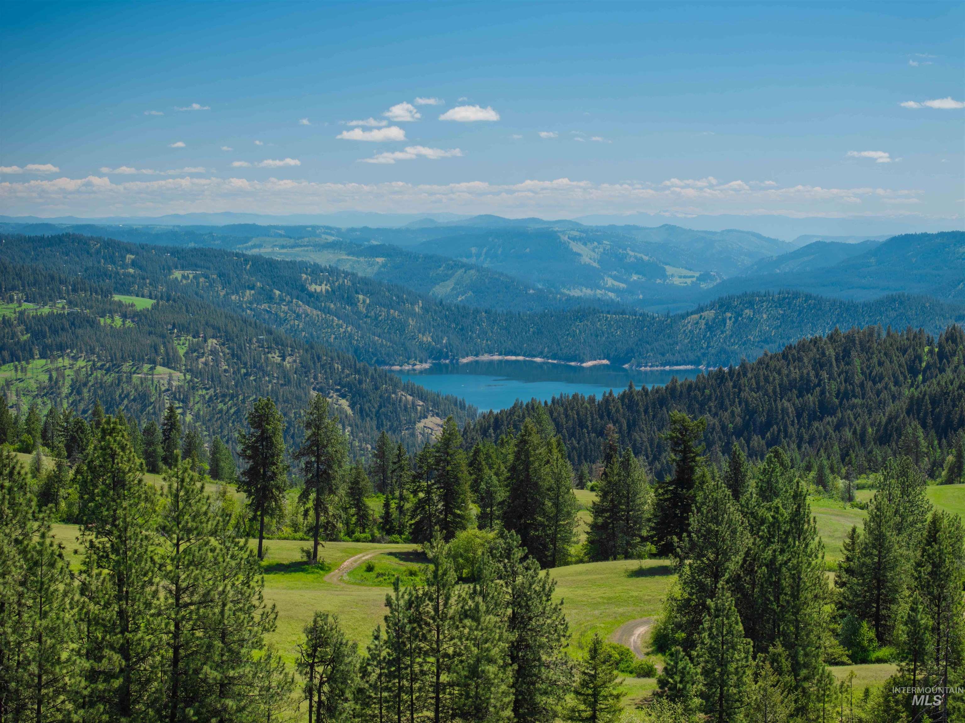 NKA 618acs Freeman Creek Rd, Lenore, Idaho 83541, Land For Sale, Price $4,950,000,MLS 98940759