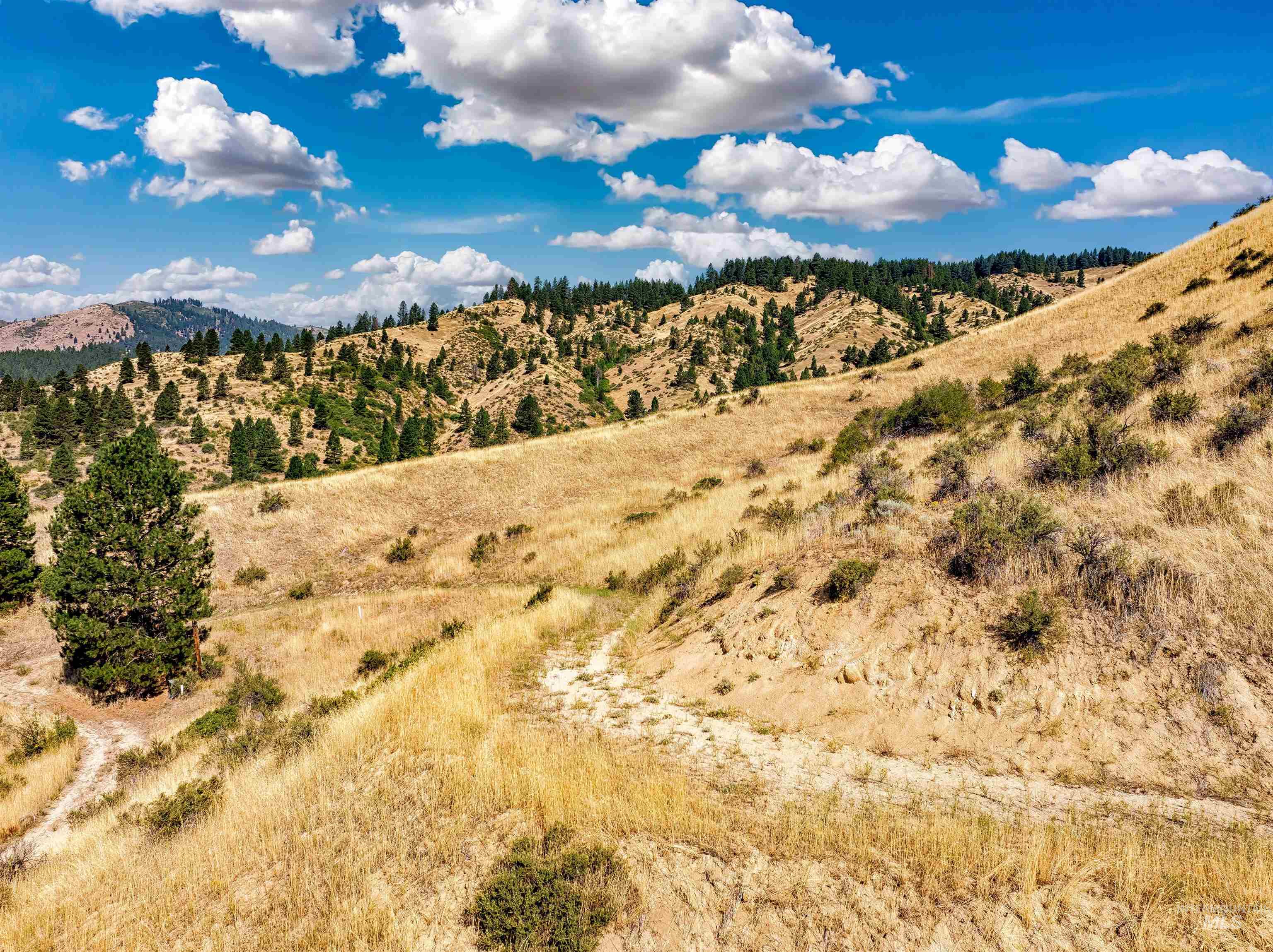 LOTS 17&18 Napias Sub Division, Boise, Idaho 83716, Land For Sale, Price $199,000,MLS 98941140