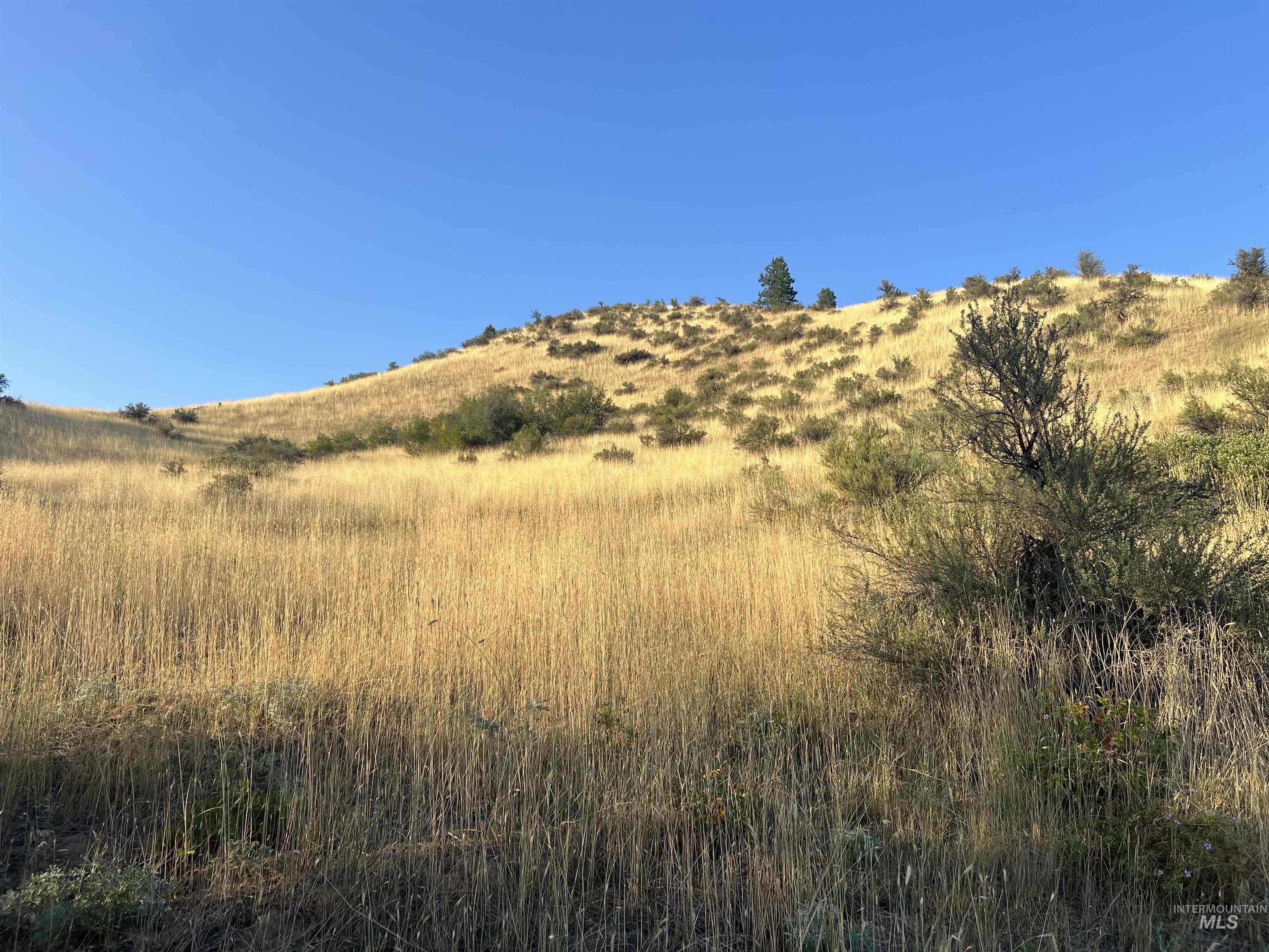 LOTS 17&18 Napias Sub Division, Boise, Idaho 83716, Land For Sale, Price $199,000,MLS 98941140