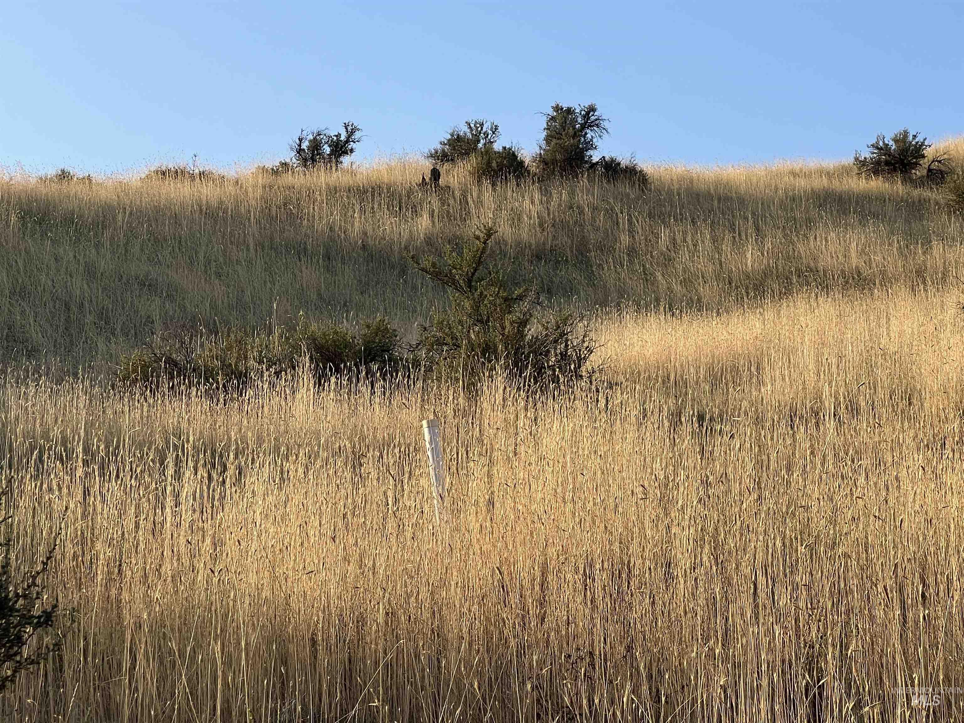 LOTS 17&18 Napias Sub Division, Boise, Idaho 83716, Land For Sale, Price $199,000,MLS 98941140