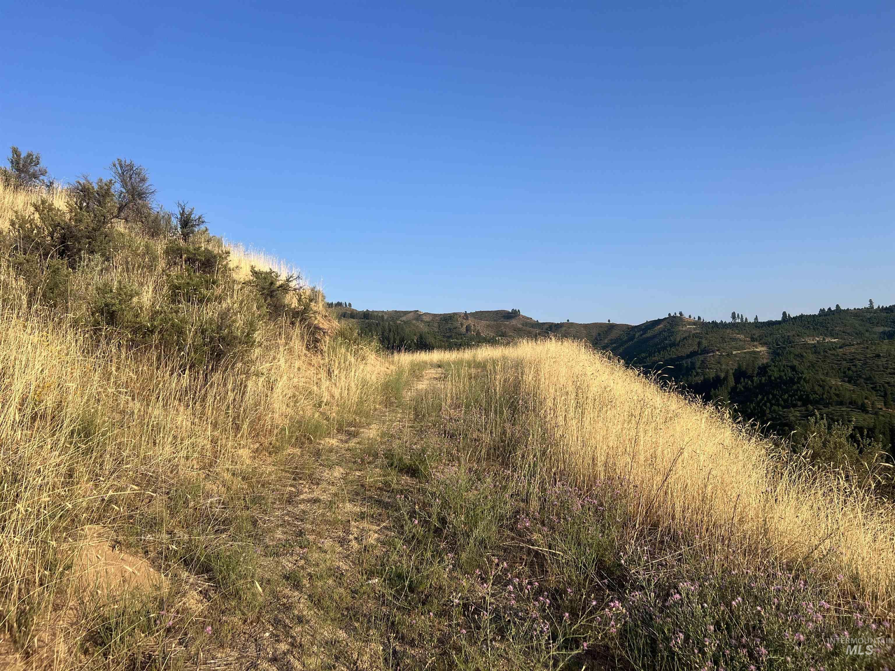 LOTS 17&18 Napias Sub Division, Boise, Idaho 83716, Land For Sale, Price $199,000,MLS 98941140