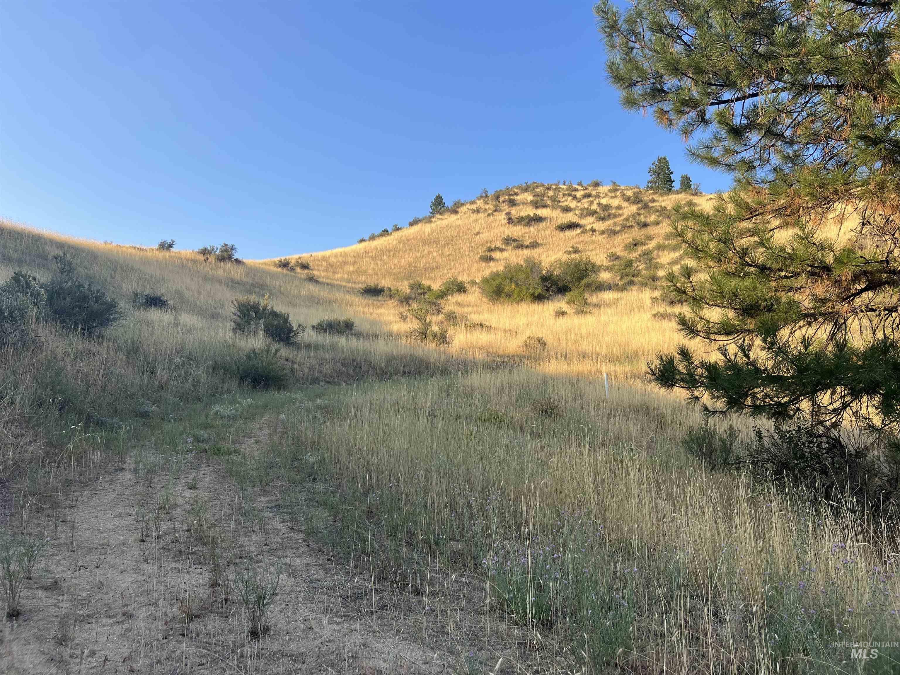 LOTS 17&18 Napias Sub Division, Boise, Idaho 83716, Land For Sale, Price $199,000,MLS 98941140