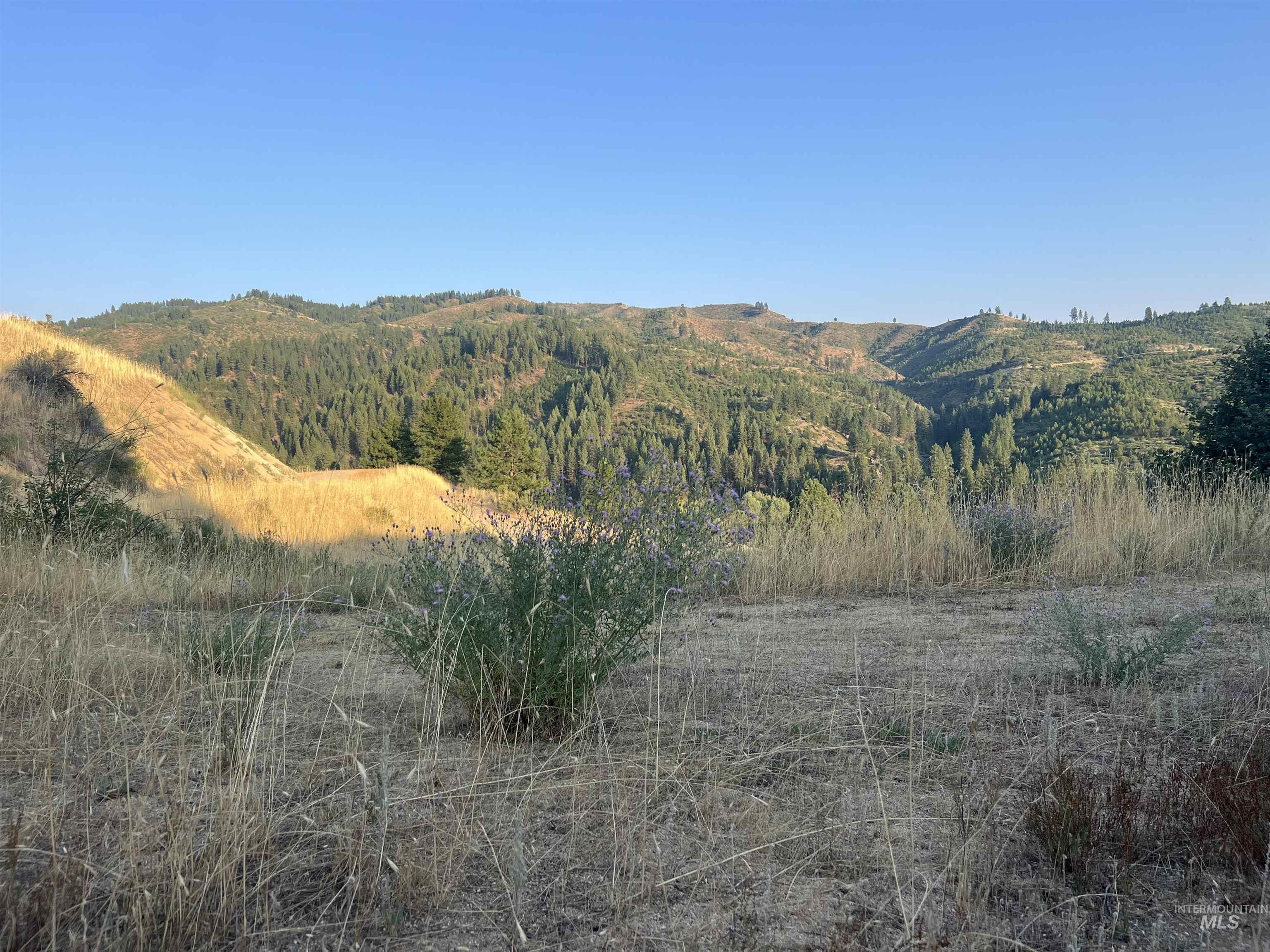 LOTS 17&18 Napias Sub Division, Boise, Idaho 83716, Land For Sale, Price $199,000,MLS 98941140