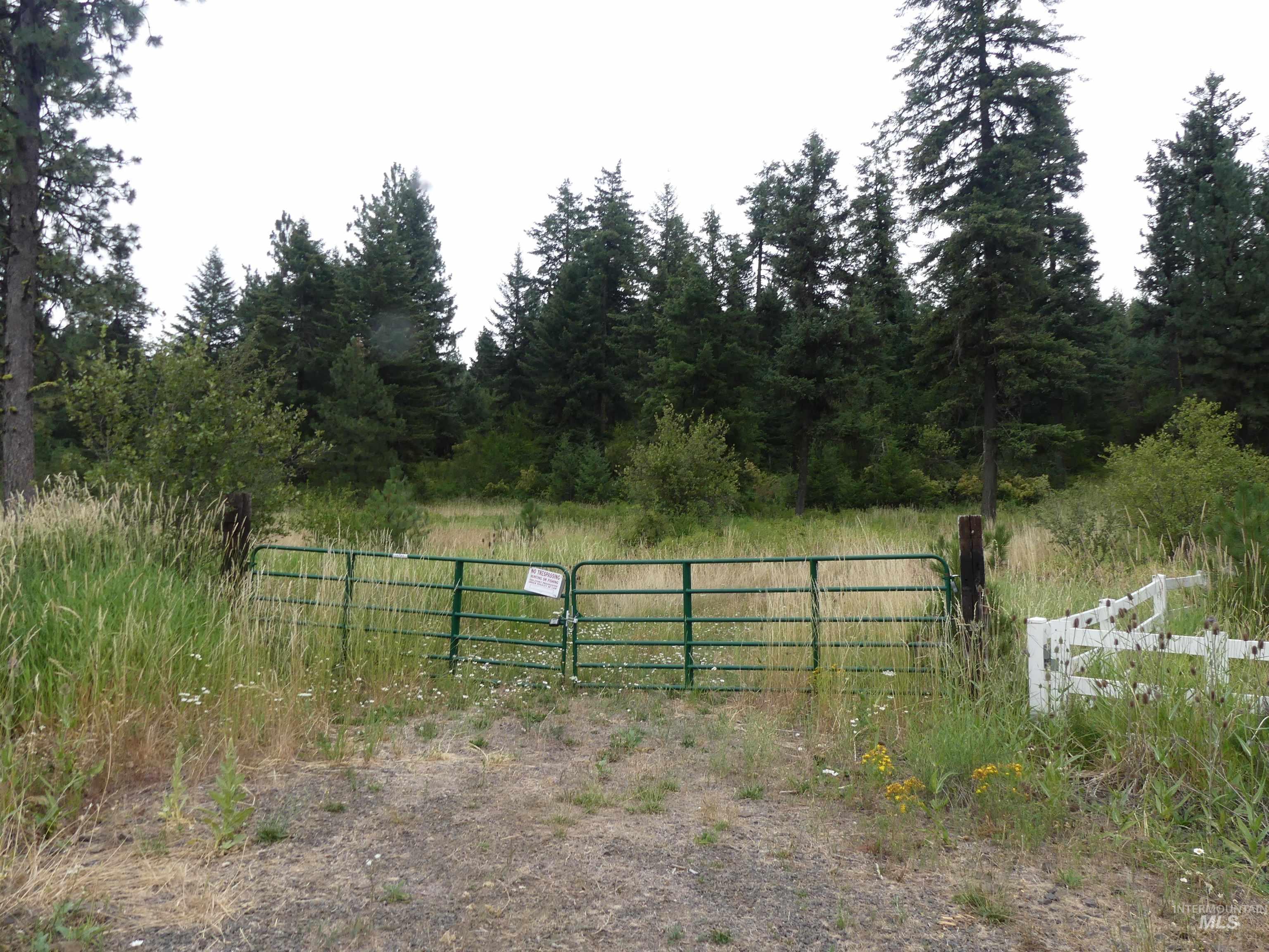 506 Devils Elbow Drive, Lenore, Idaho 83541, Land For Sale, Price $350,000, 98941221