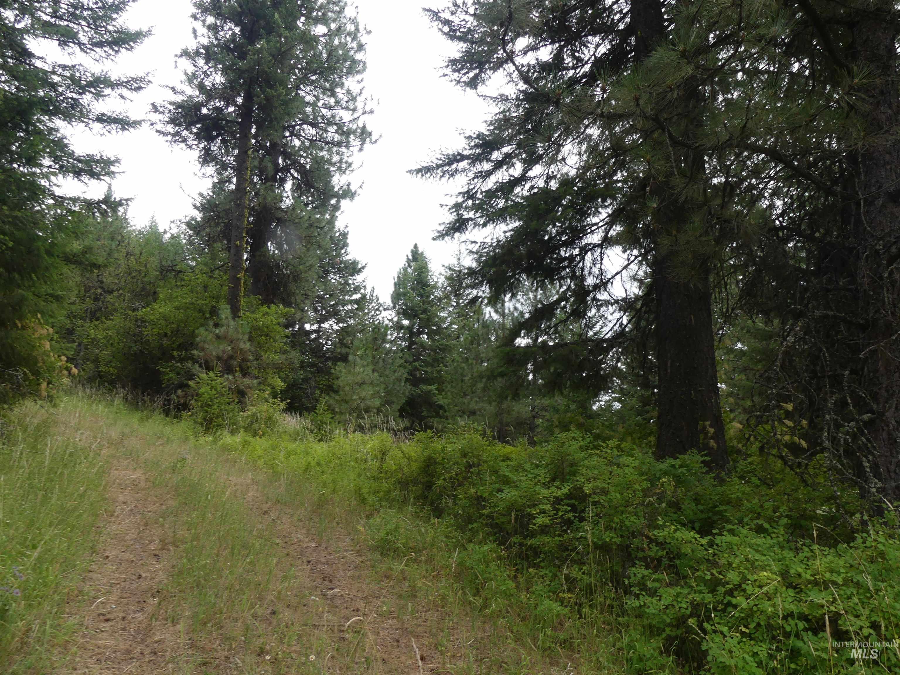 506 Devils Elbow Drive, Lenore, Idaho 83541, Land For Sale, Price $350,000, 98941221
