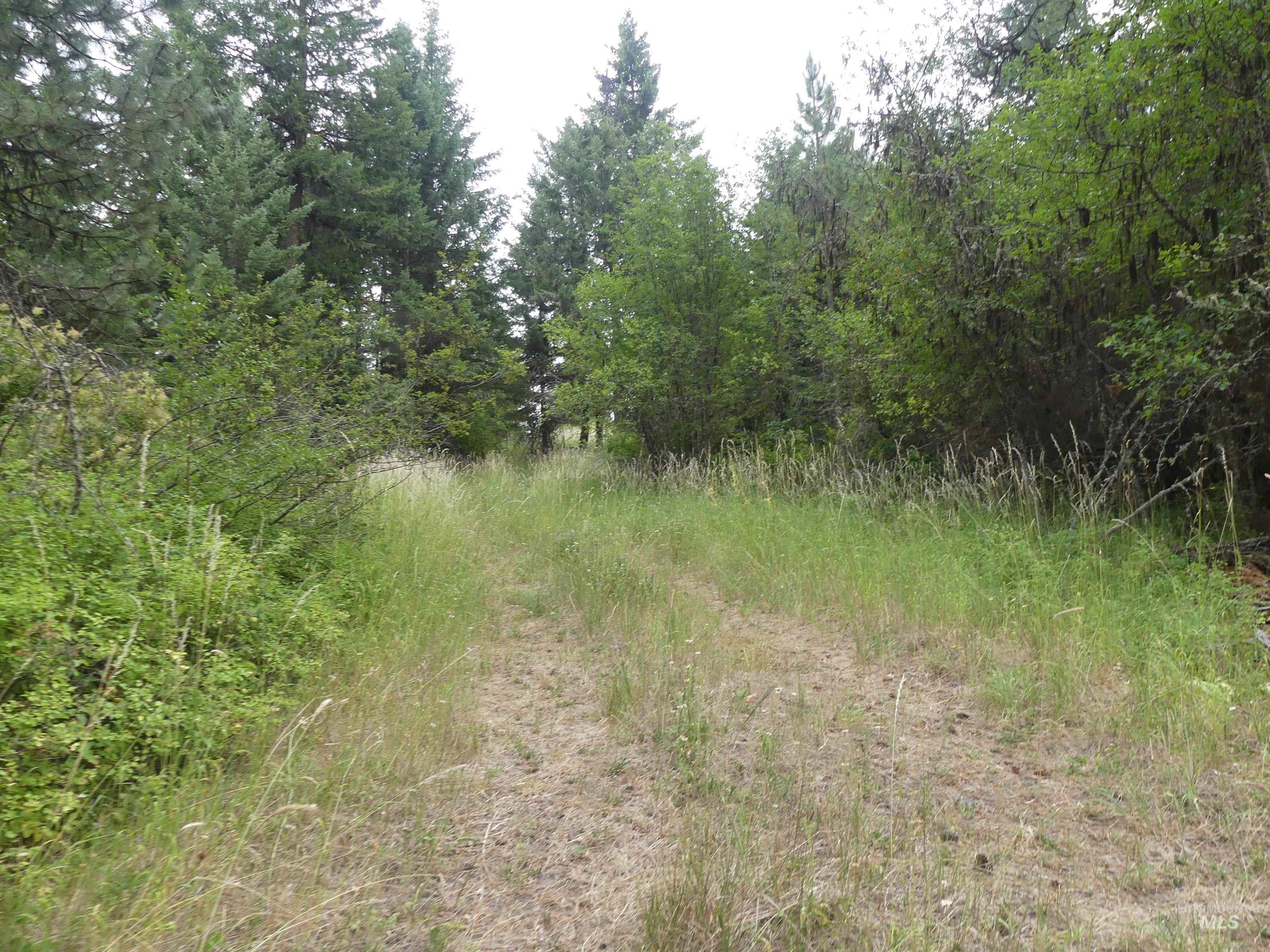 506 Devils Elbow Drive, Lenore, Idaho 83541, Land For Sale, Price $350,000, 98941221