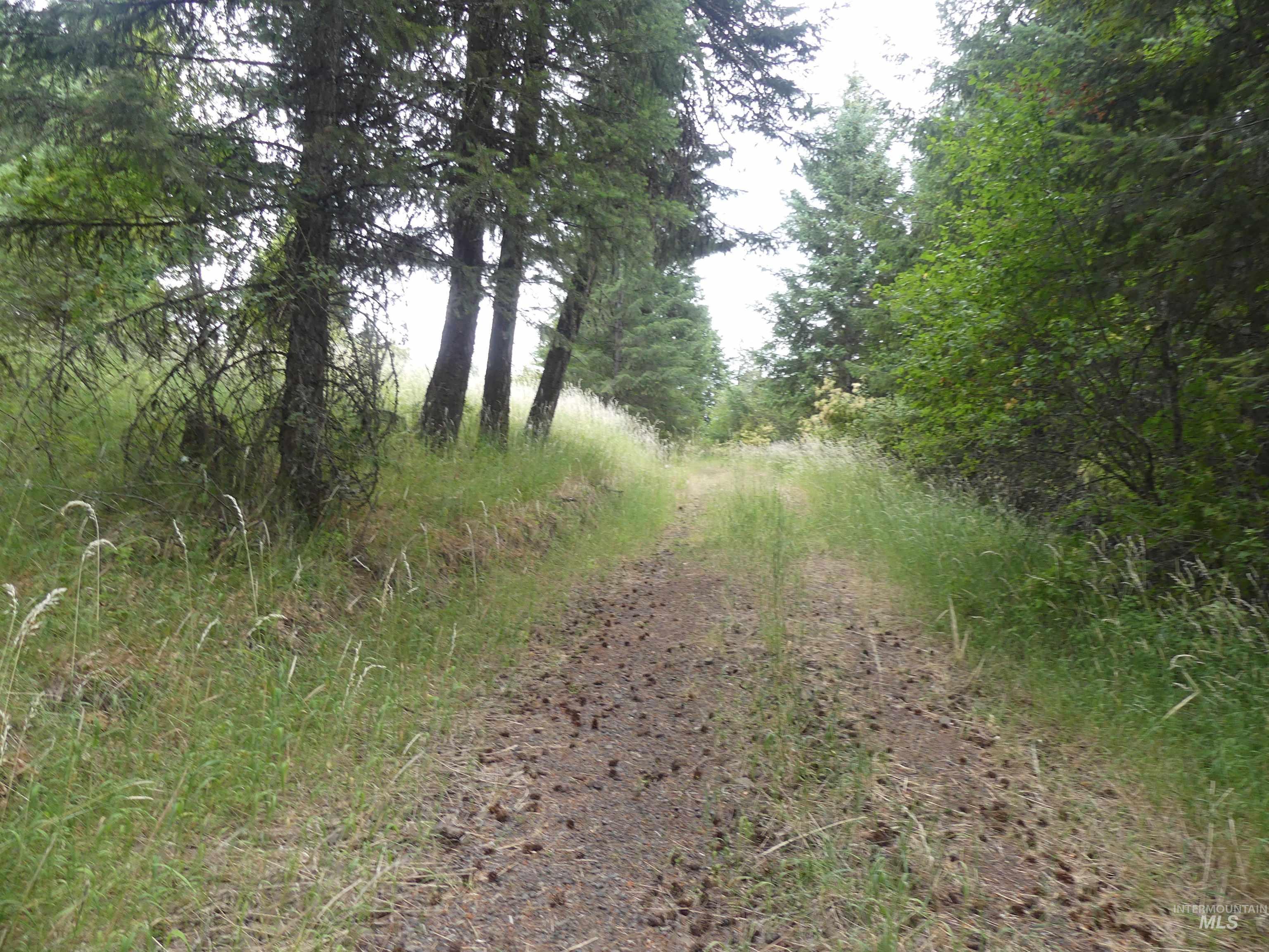 506 Devils Elbow Drive, Lenore, Idaho 83541, Land For Sale, Price $350,000, 98941221