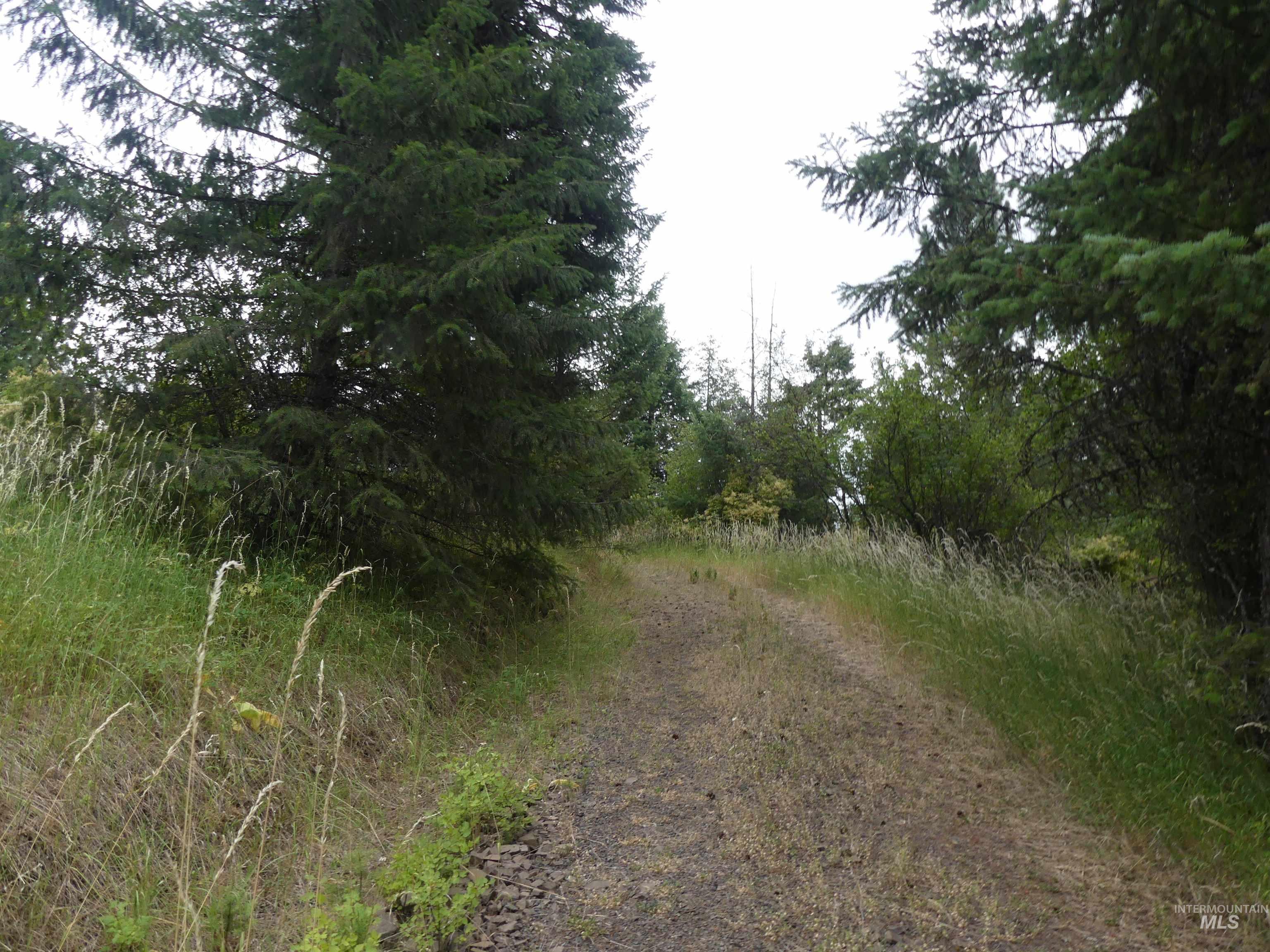 506 Devils Elbow Drive, Lenore, Idaho 83541, Land For Sale, Price $350,000, 98941221
