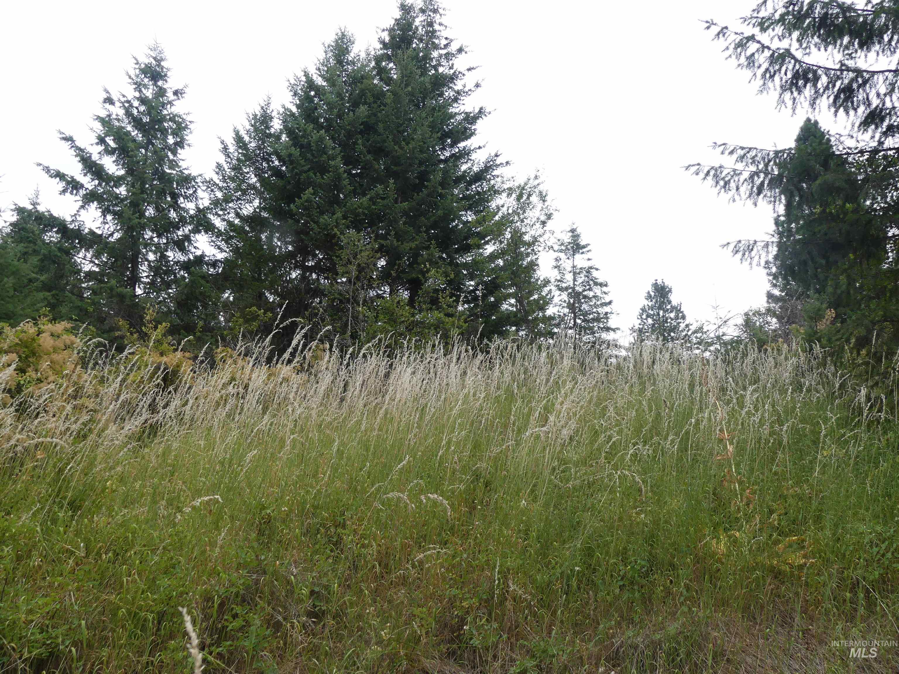 506 Devils Elbow Drive, Lenore, Idaho 83541, Land For Sale, Price $350,000, 98941221