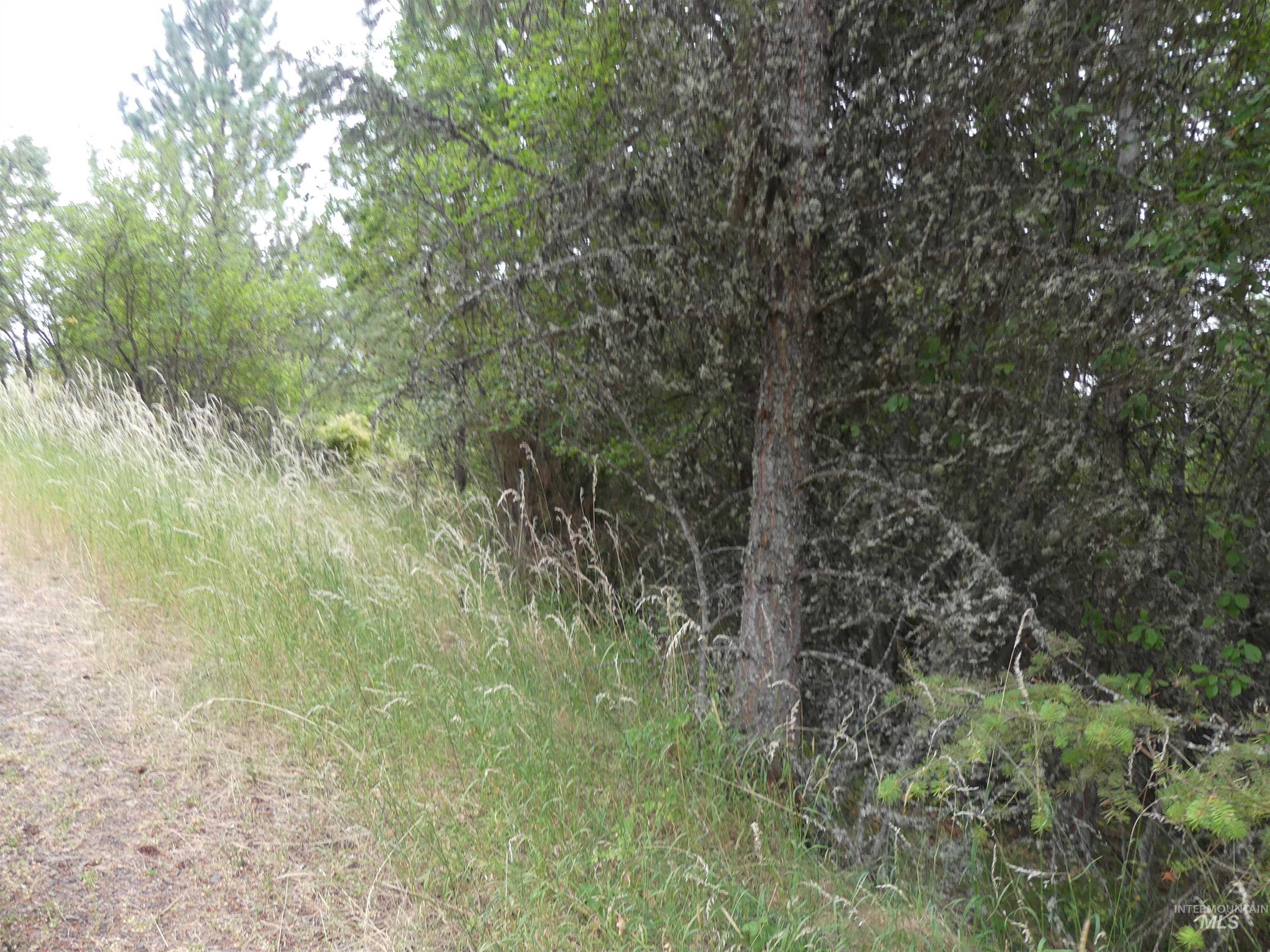 506 Devils Elbow Drive, Lenore, Idaho 83541, Land For Sale, Price $350,000, 98941221