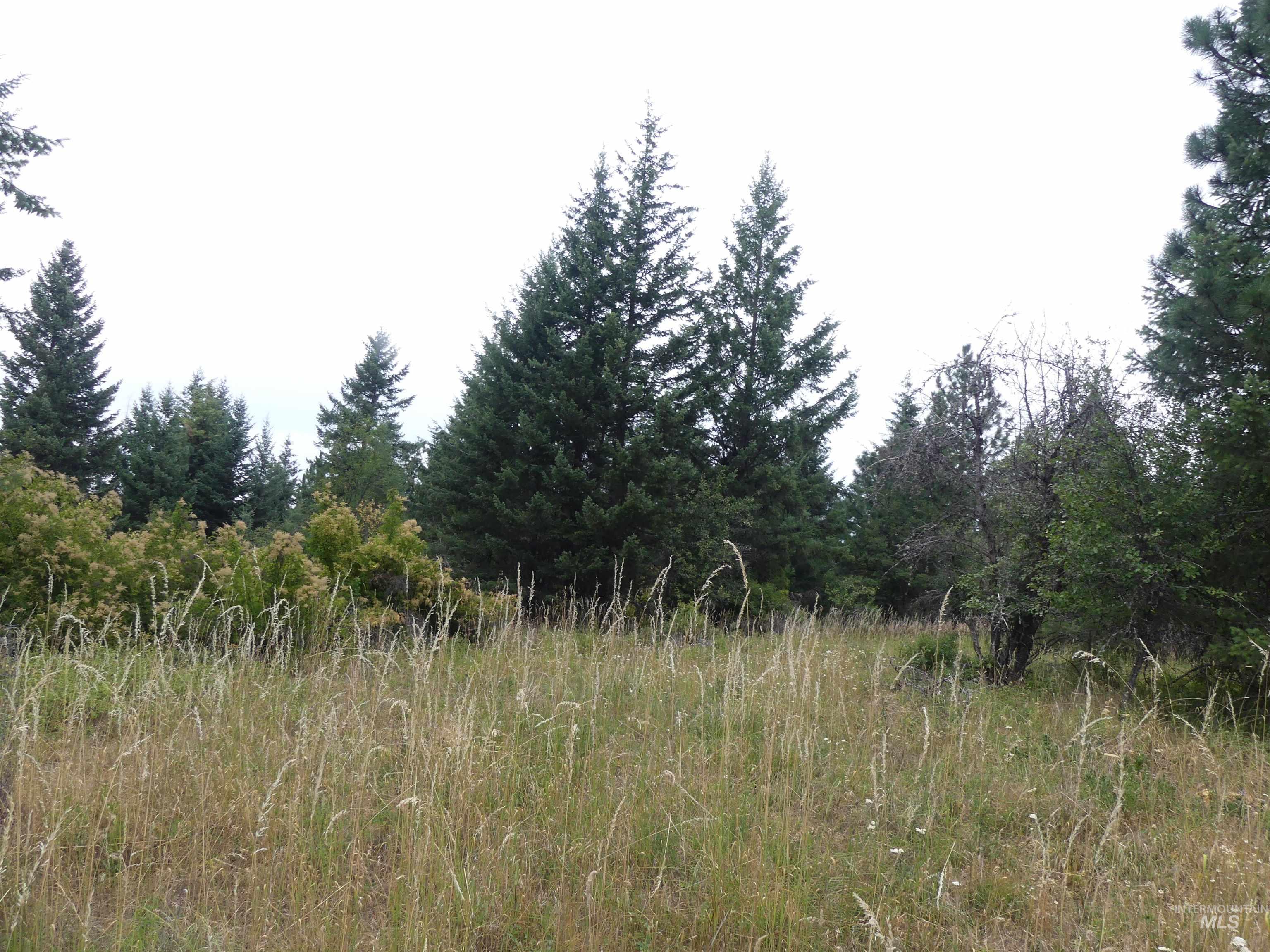 506 Devils Elbow Drive, Lenore, Idaho 83541, Land For Sale, Price $350,000, 98941221