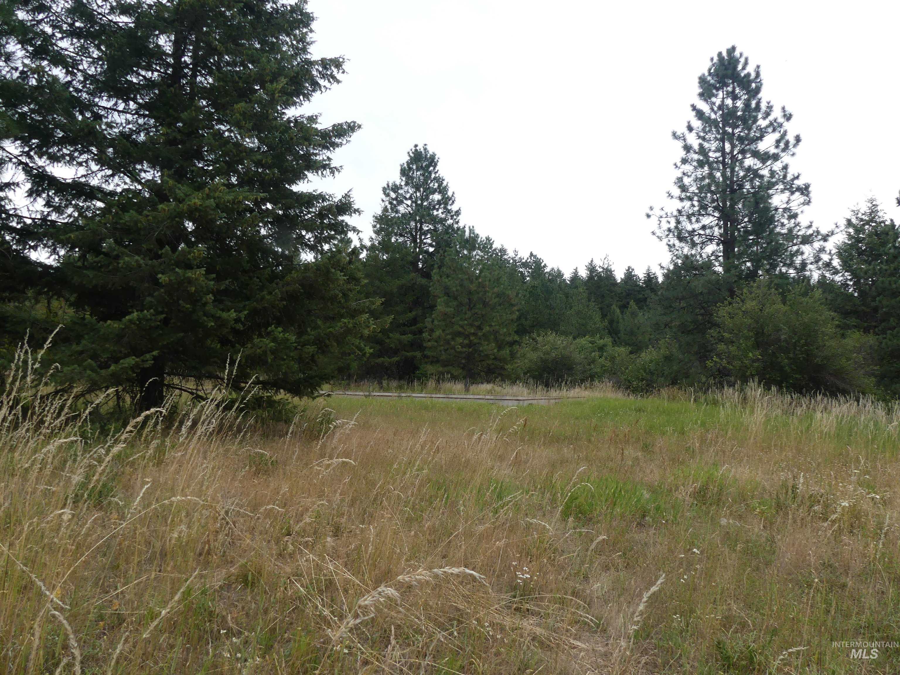 506 Devils Elbow Drive, Lenore, Idaho 83541, Land For Sale, Price $350,000, 98941221