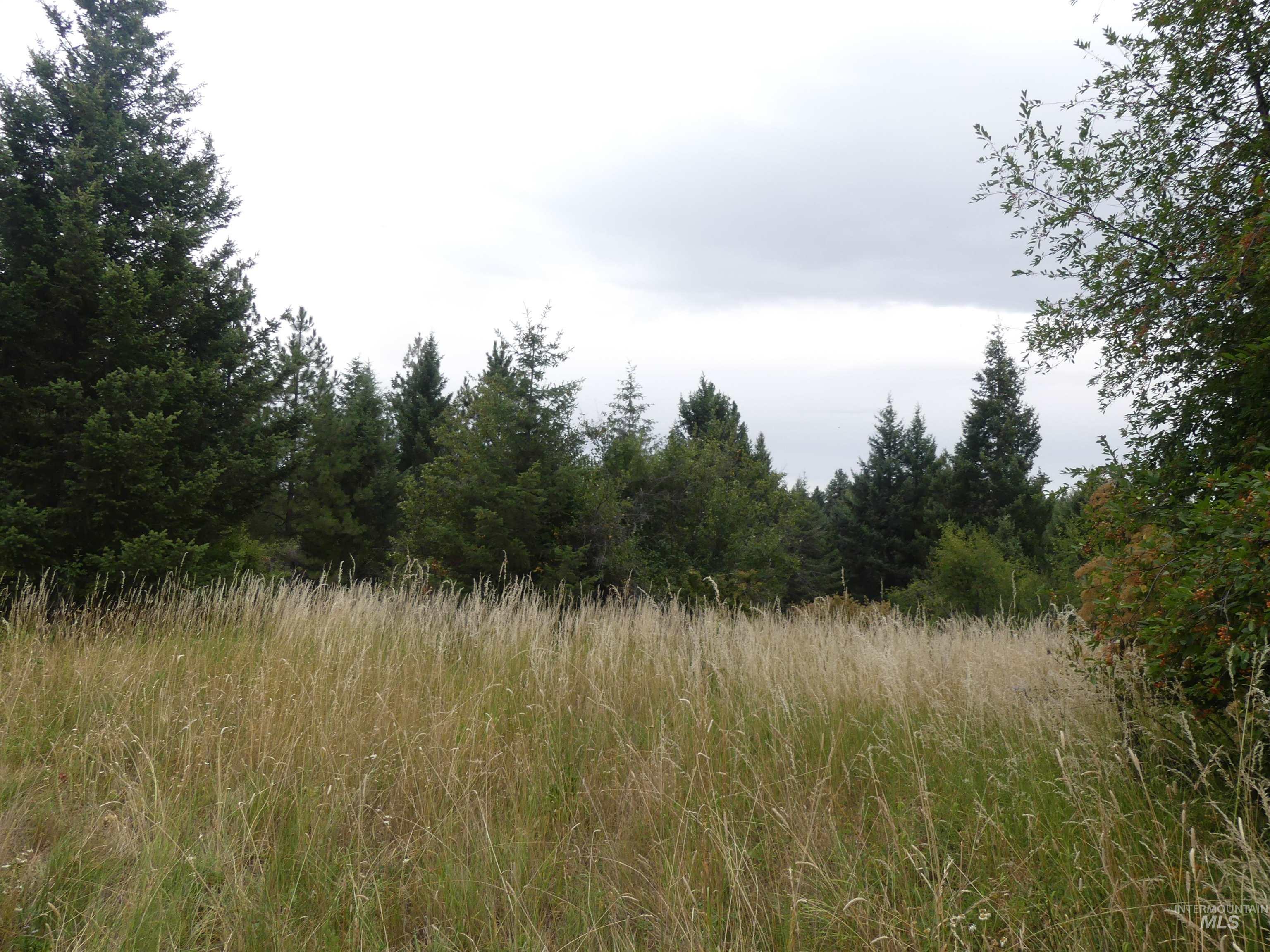 506 Devils Elbow Drive, Lenore, Idaho 83541, Land For Sale, Price $350,000, 98941221