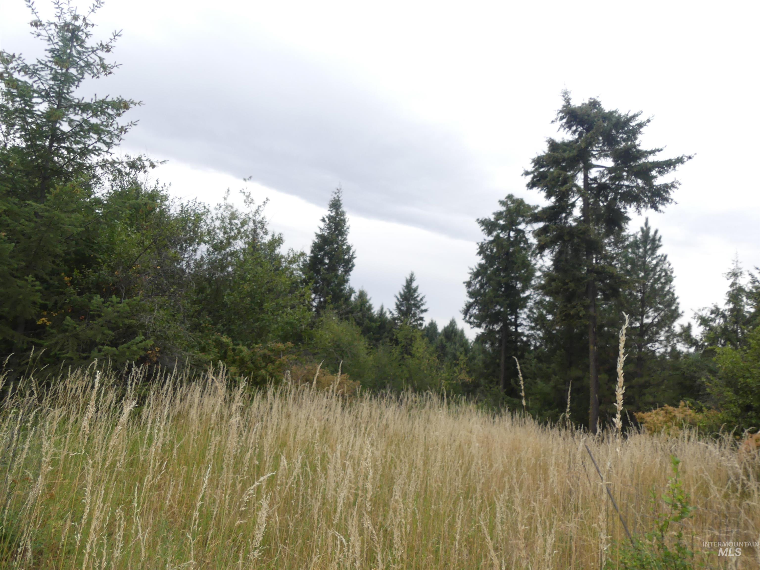 506 Devils Elbow Drive, Lenore, Idaho 83541, Land For Sale, Price $350,000, 98941221